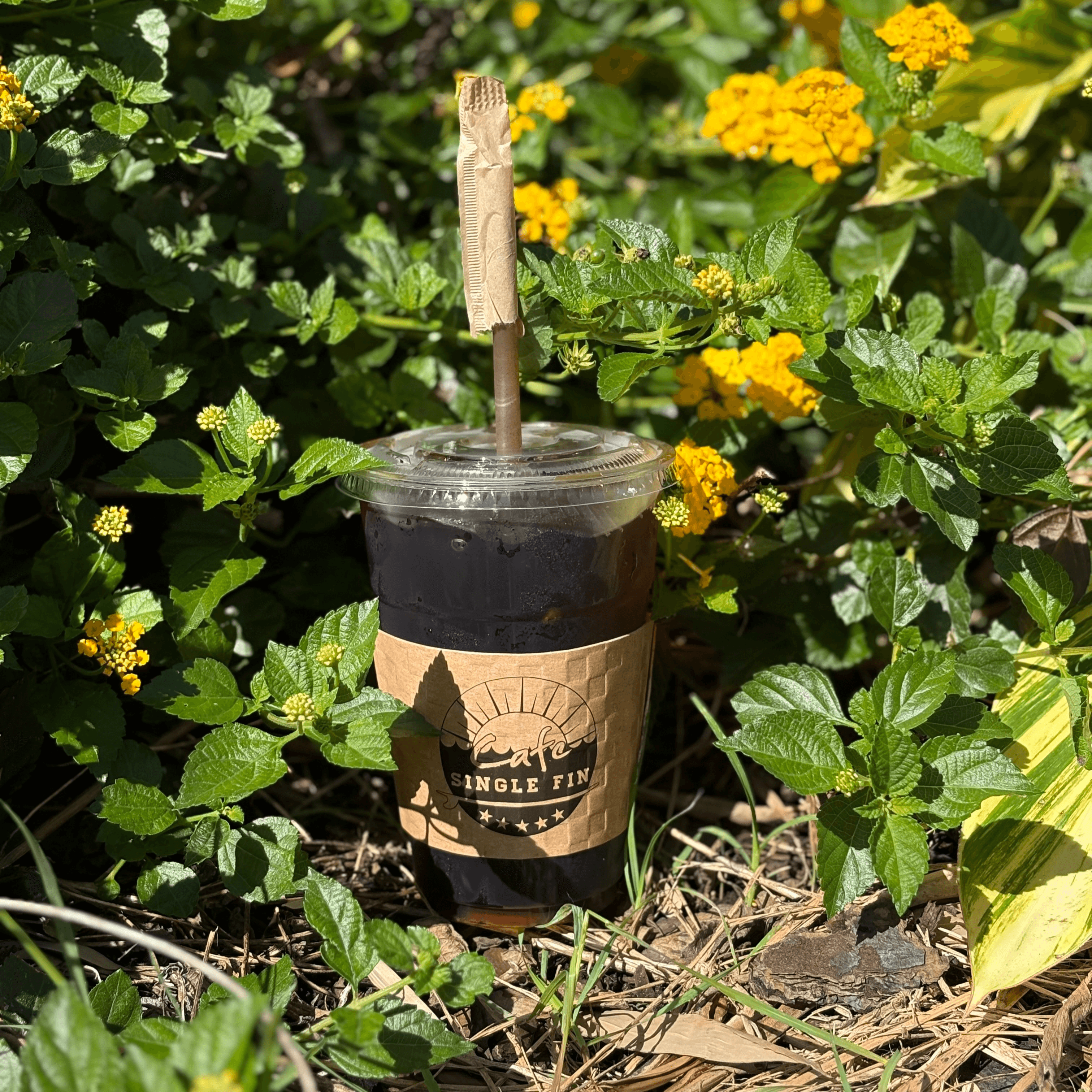 Iced Americano.
