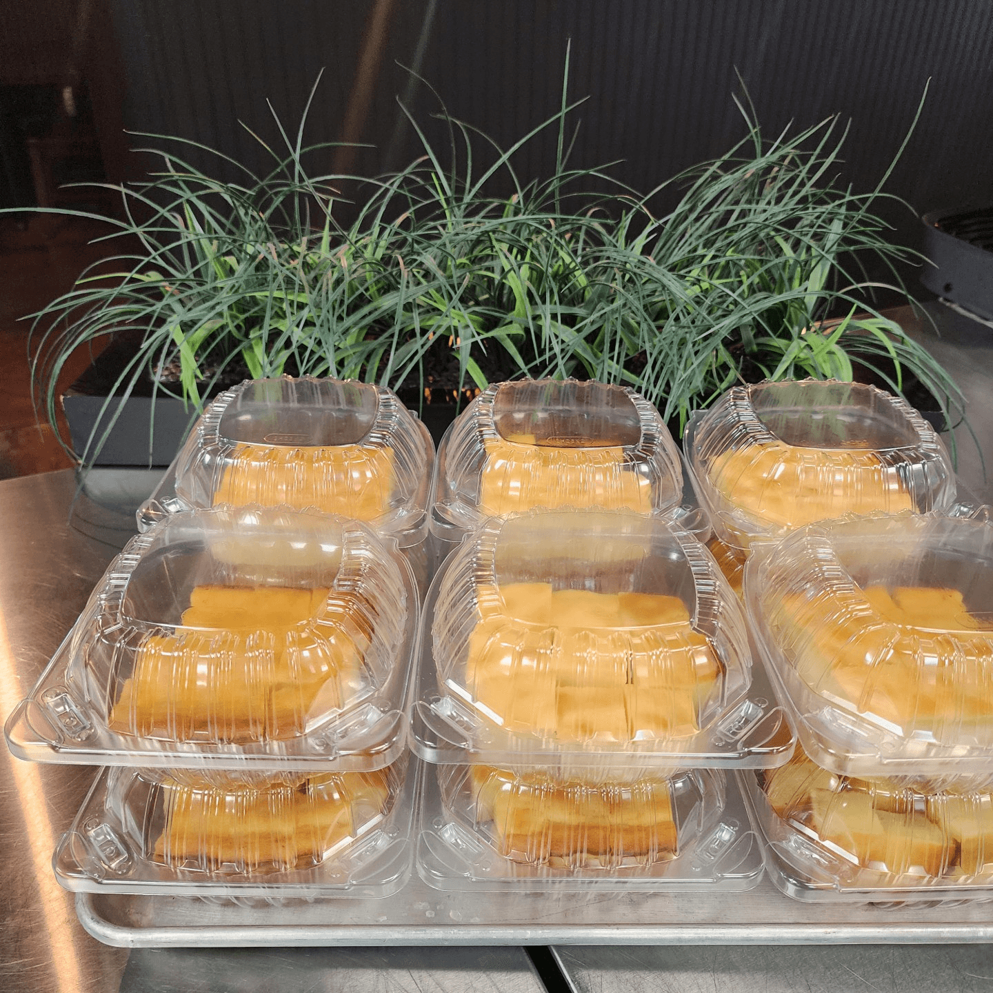 Your Aloha Connection in Temecula