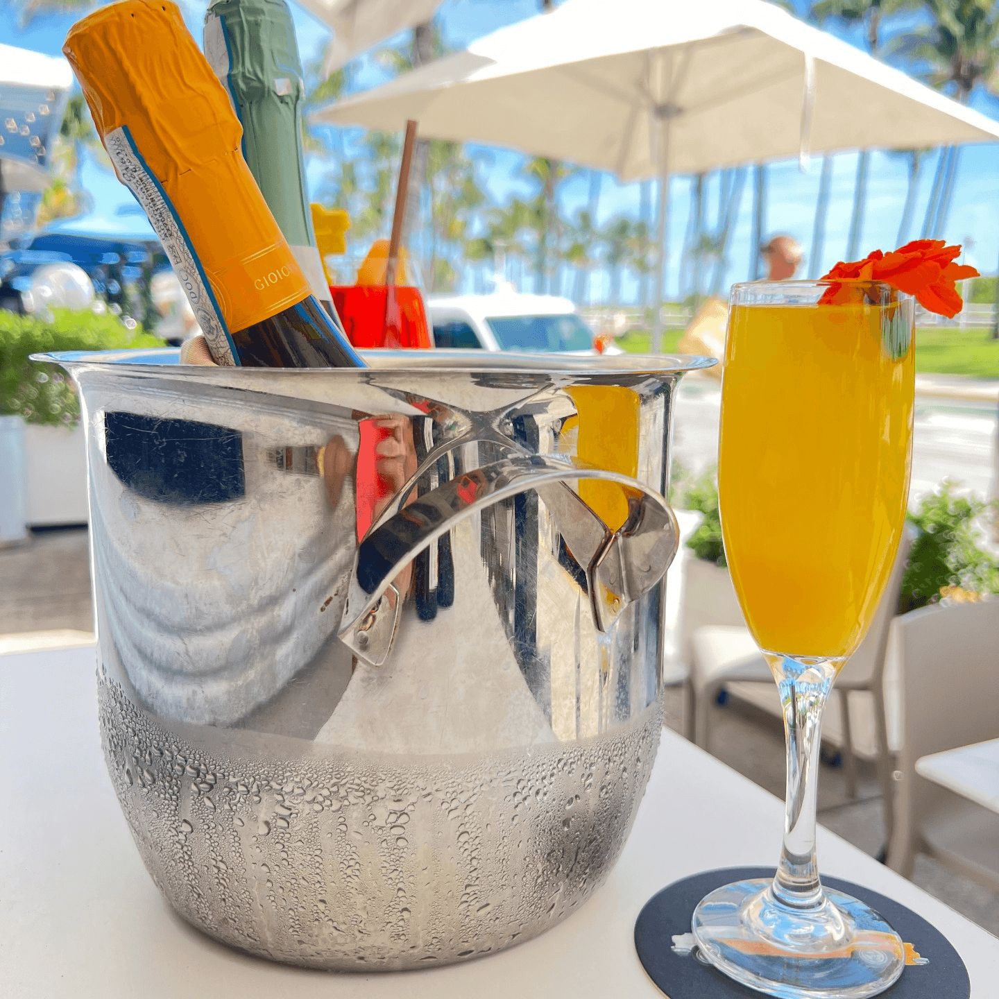 Cocktails, Company, and the Coastline