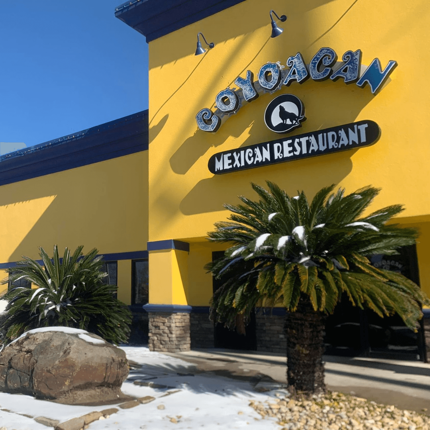 Welcome to Your New Favorite Mexican Spot! 🌮