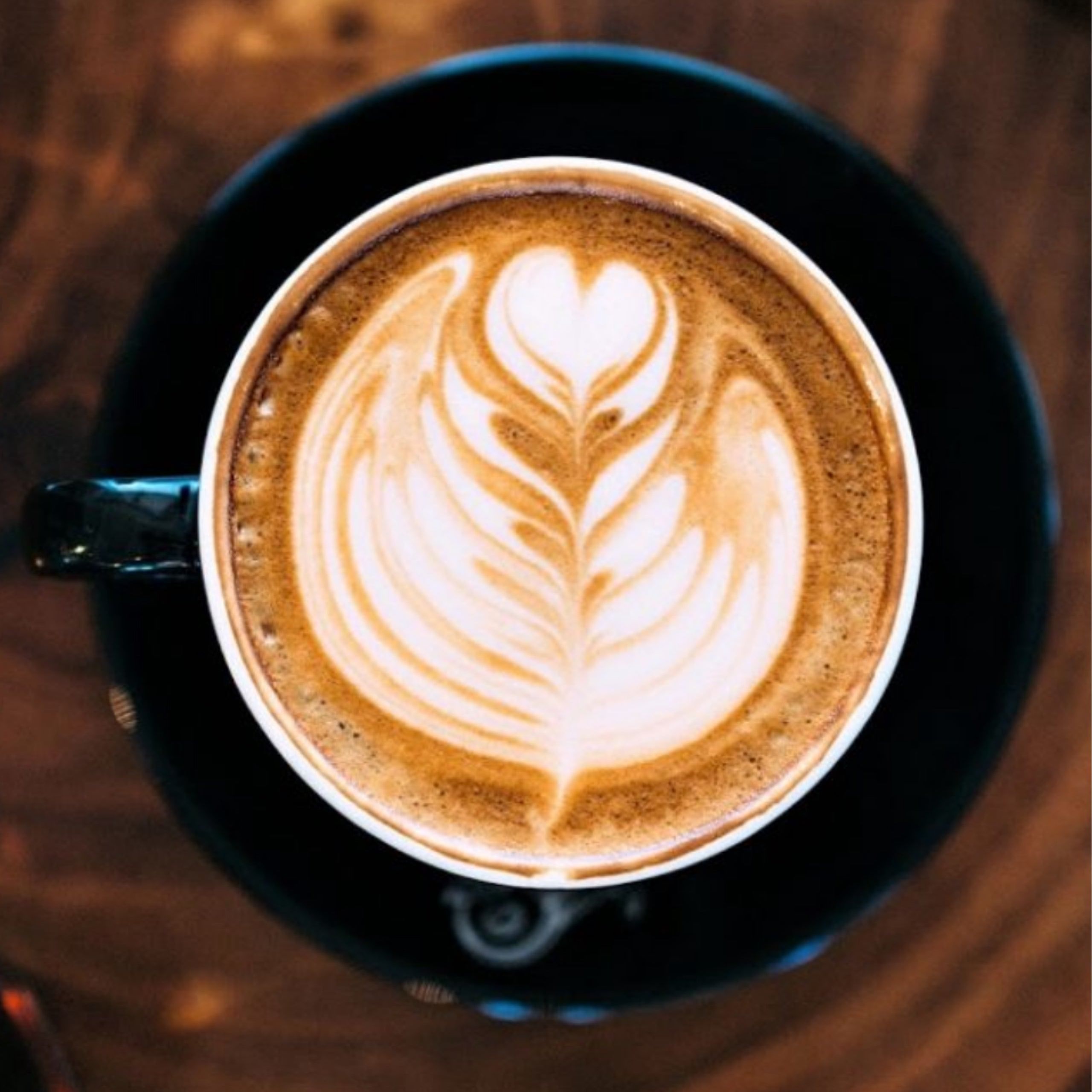 Hollander Dark Chocolate Mocha.