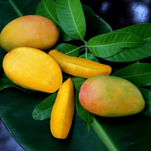 Kesar Indian Mango Box * SEASONAL ITEM *