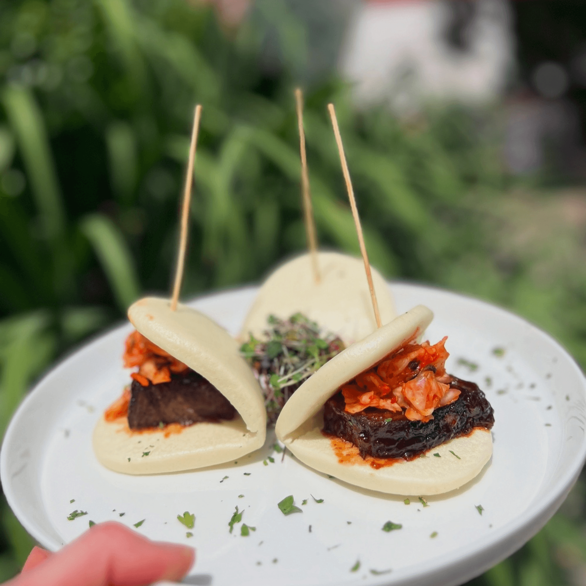 Under the Moon gallery image #2