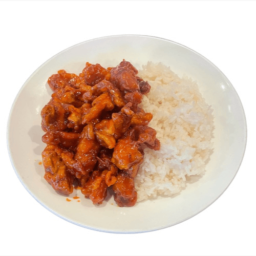 Sweet & Sour Chicken Rice Dish & Chicken Dumplings.