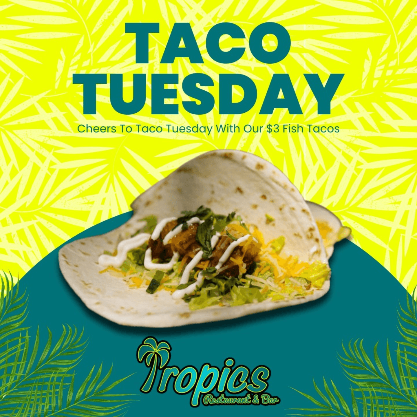 Taco Tuesdays at Tropics 🌮🍹