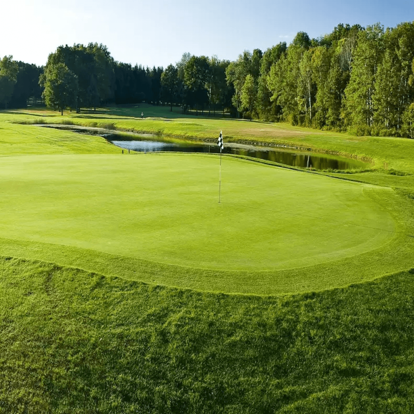 The Hidden Gem Behind the Orchard⛳