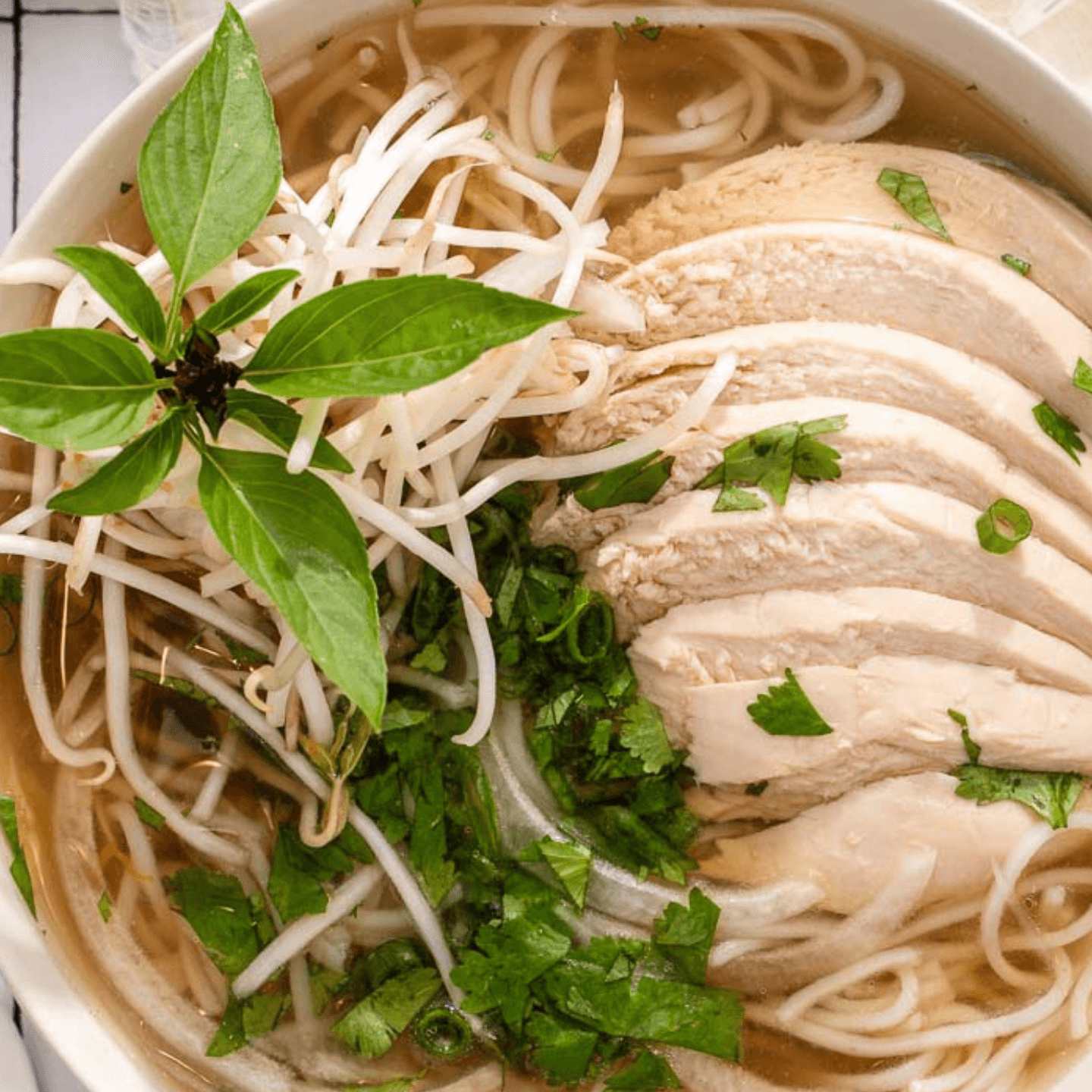 Great Noodle Dishes