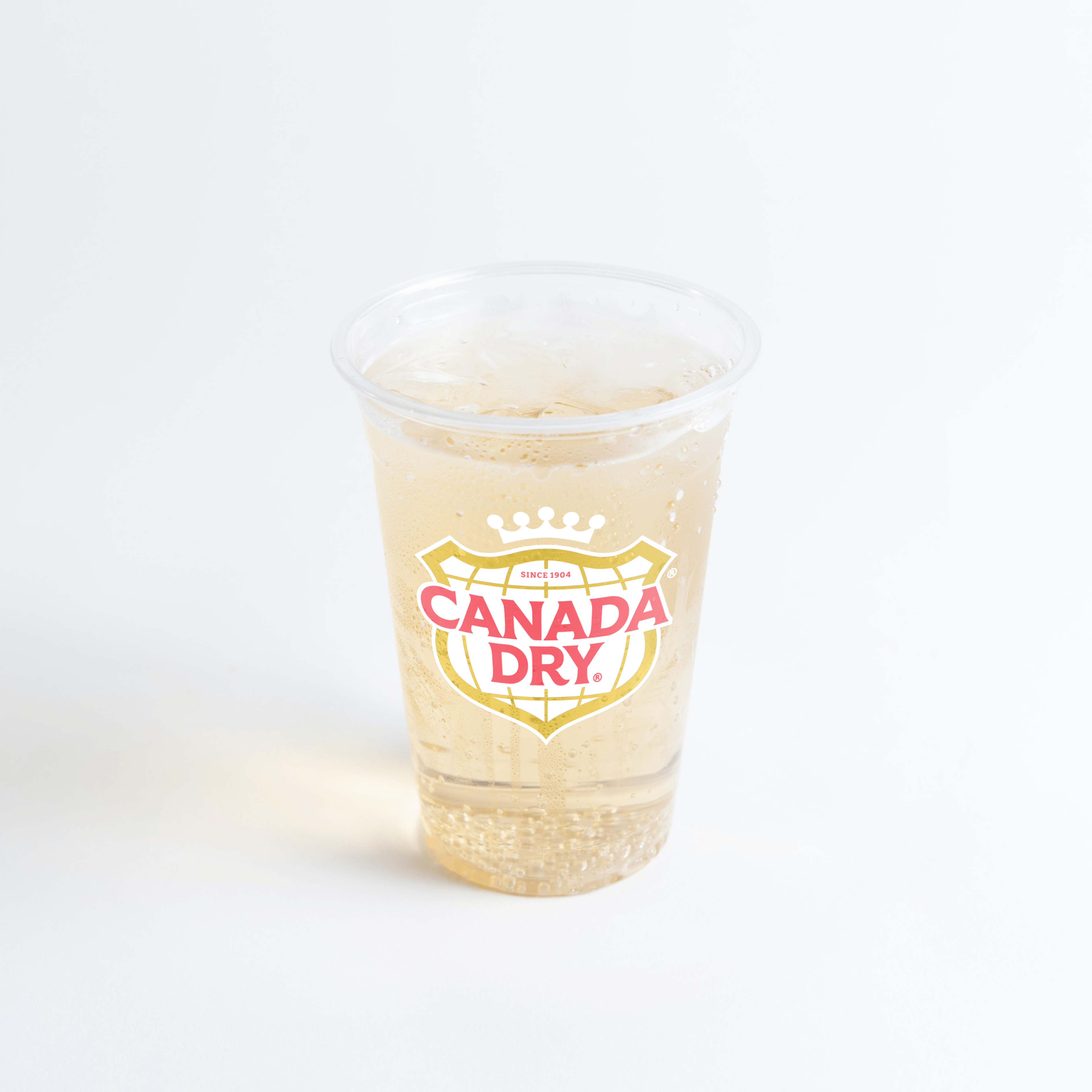 Canada Dry Ginger Ale (Can)