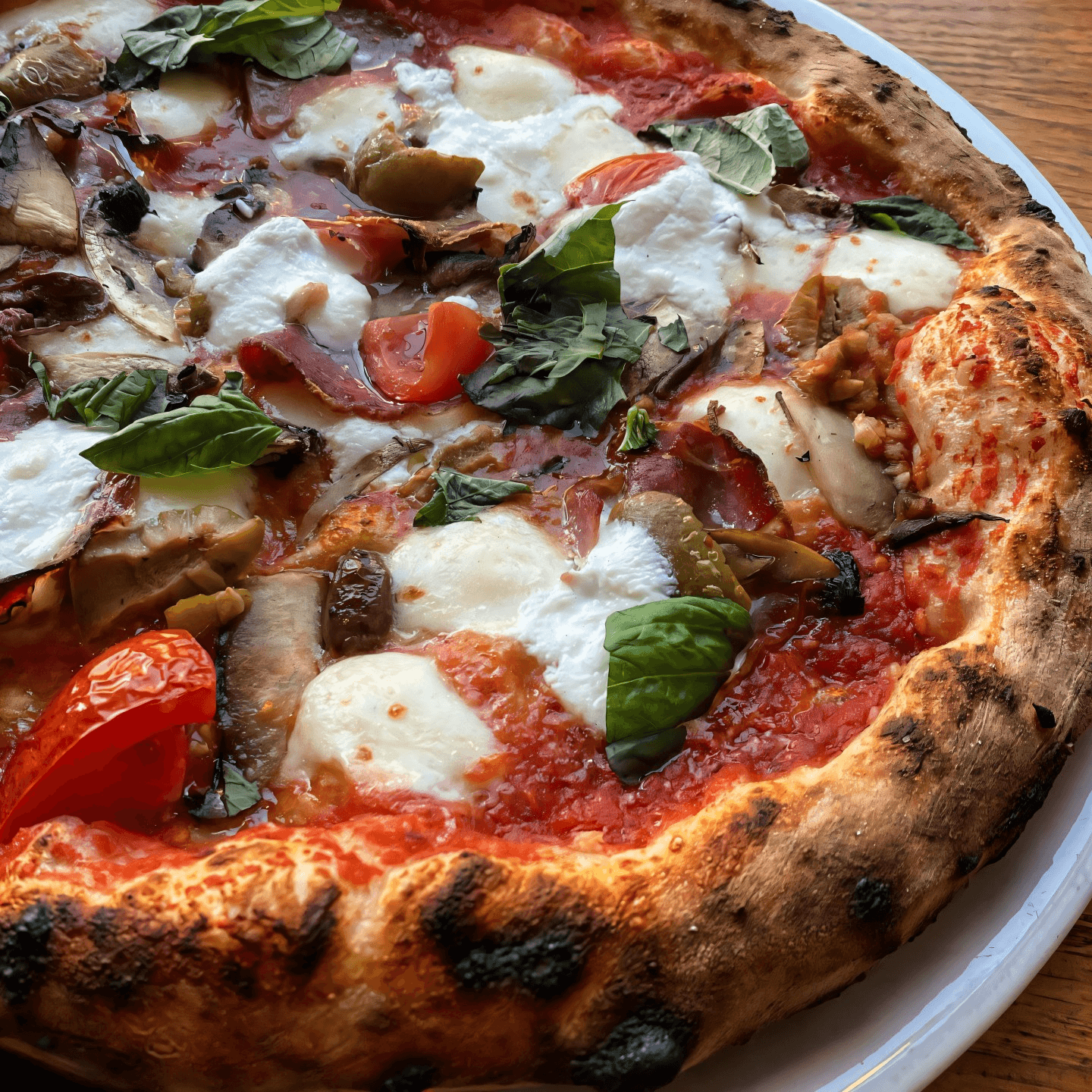 Bring Aquila Pizza Al Forno to Your Next Gathering