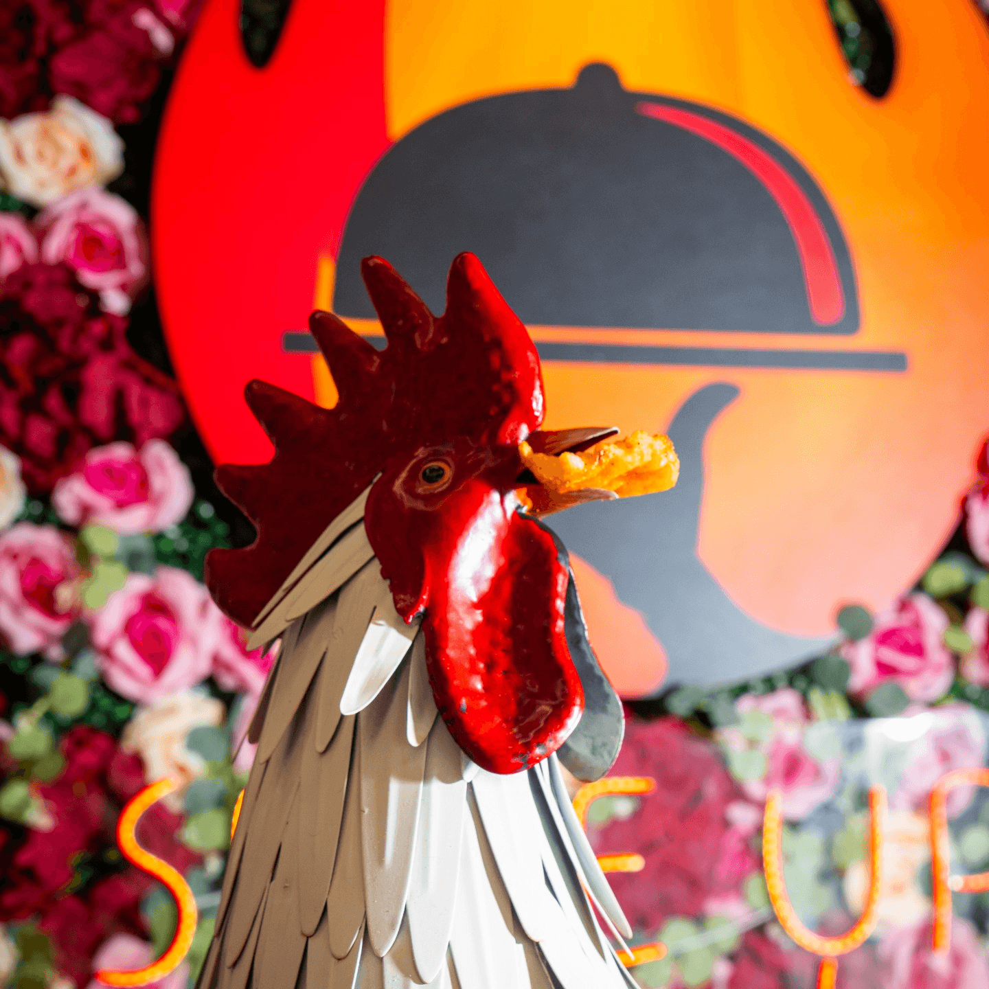 A Place for Everyone to Enjoy ❤️