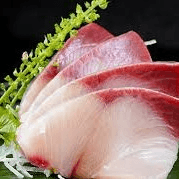 Hamachi Sashimi (D) 10pcs.