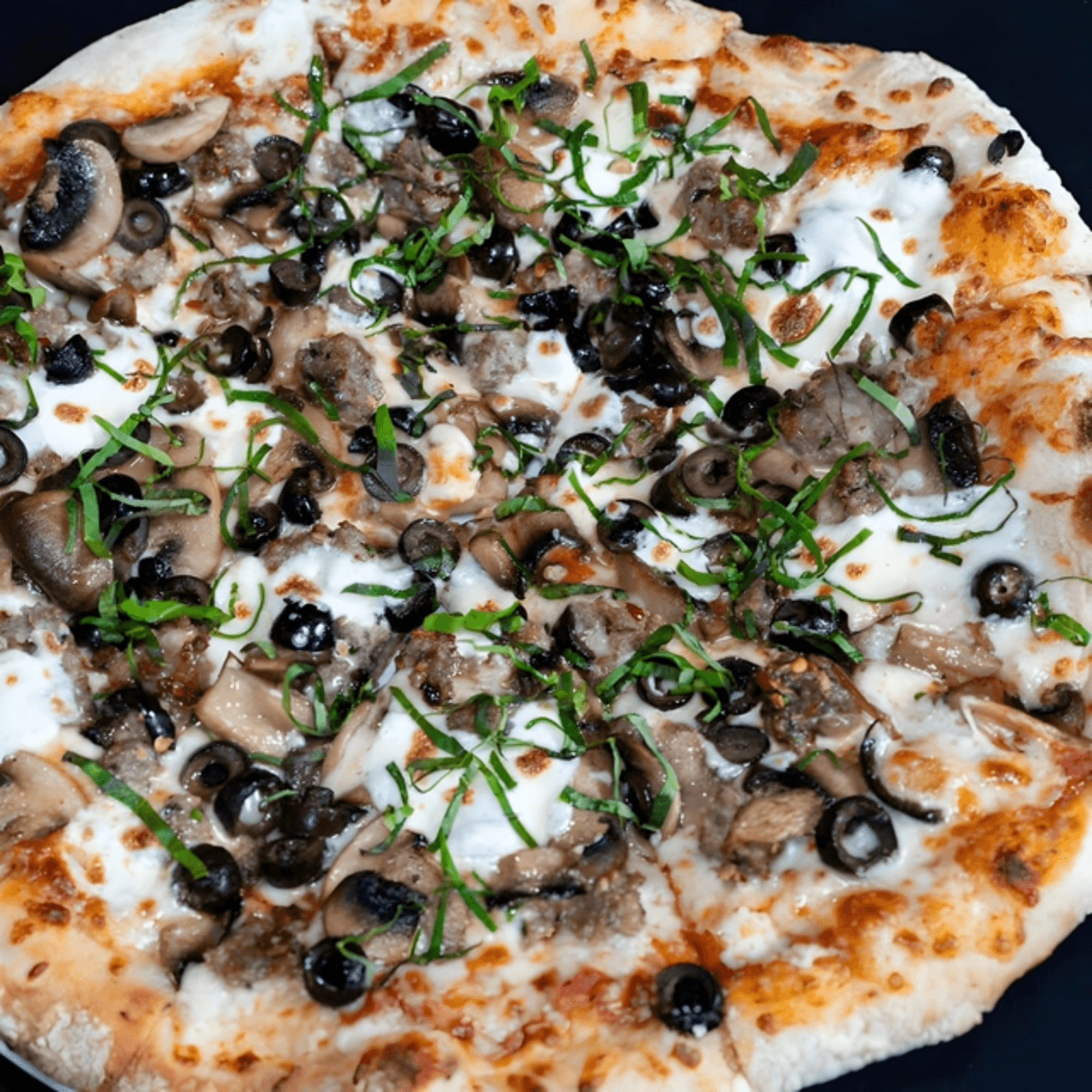 Giuseppe's gallery image #8