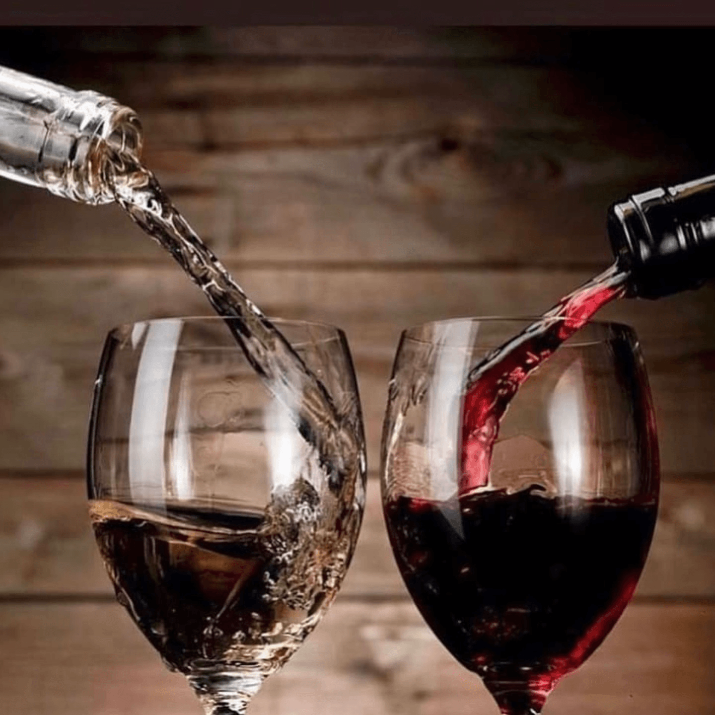 Wine for Every Occasion 🍷