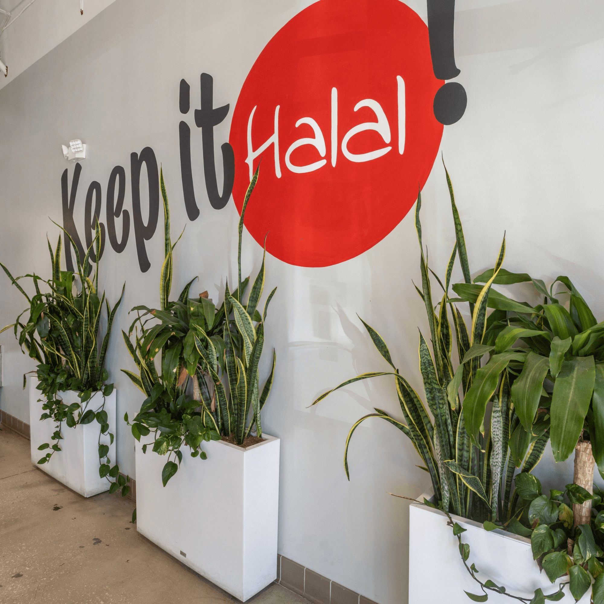 Halal Bros gallery image #11