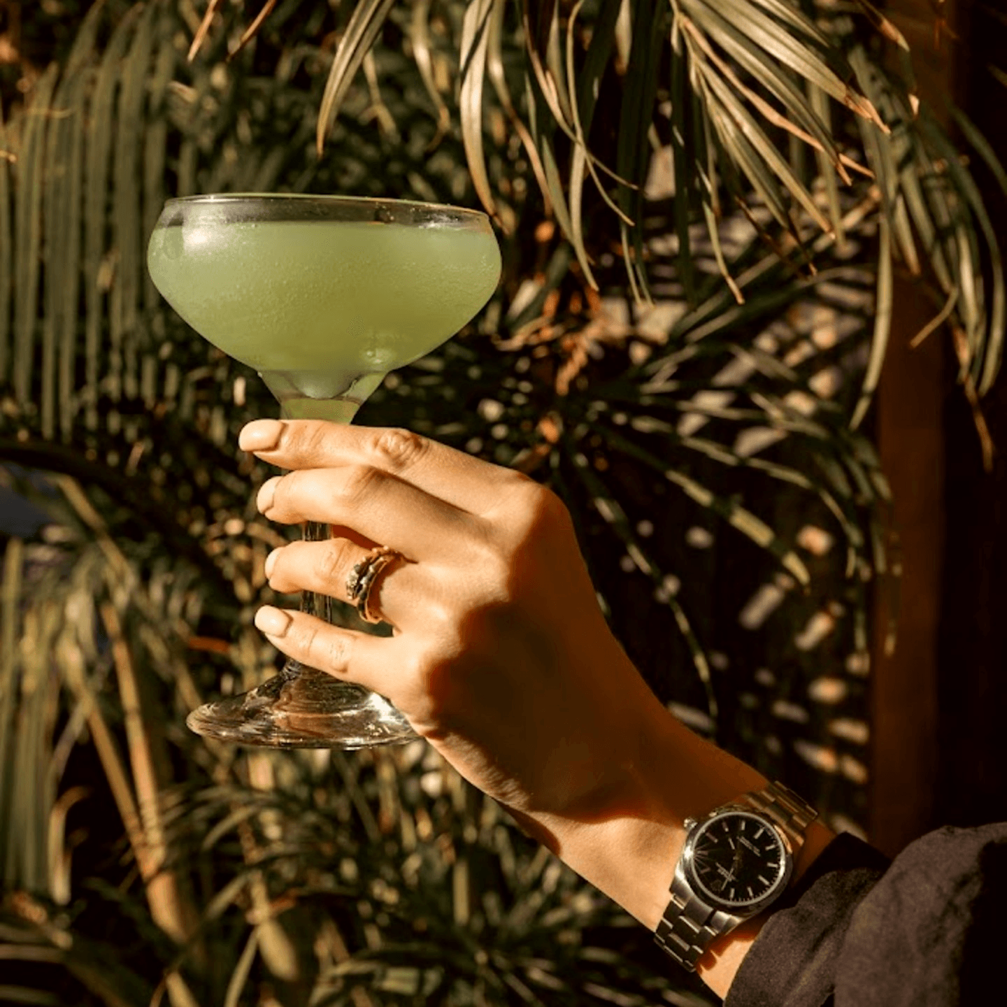 Elevate Your Meal with the Perfect Drink
