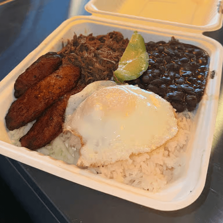 Pabellon Dish.
