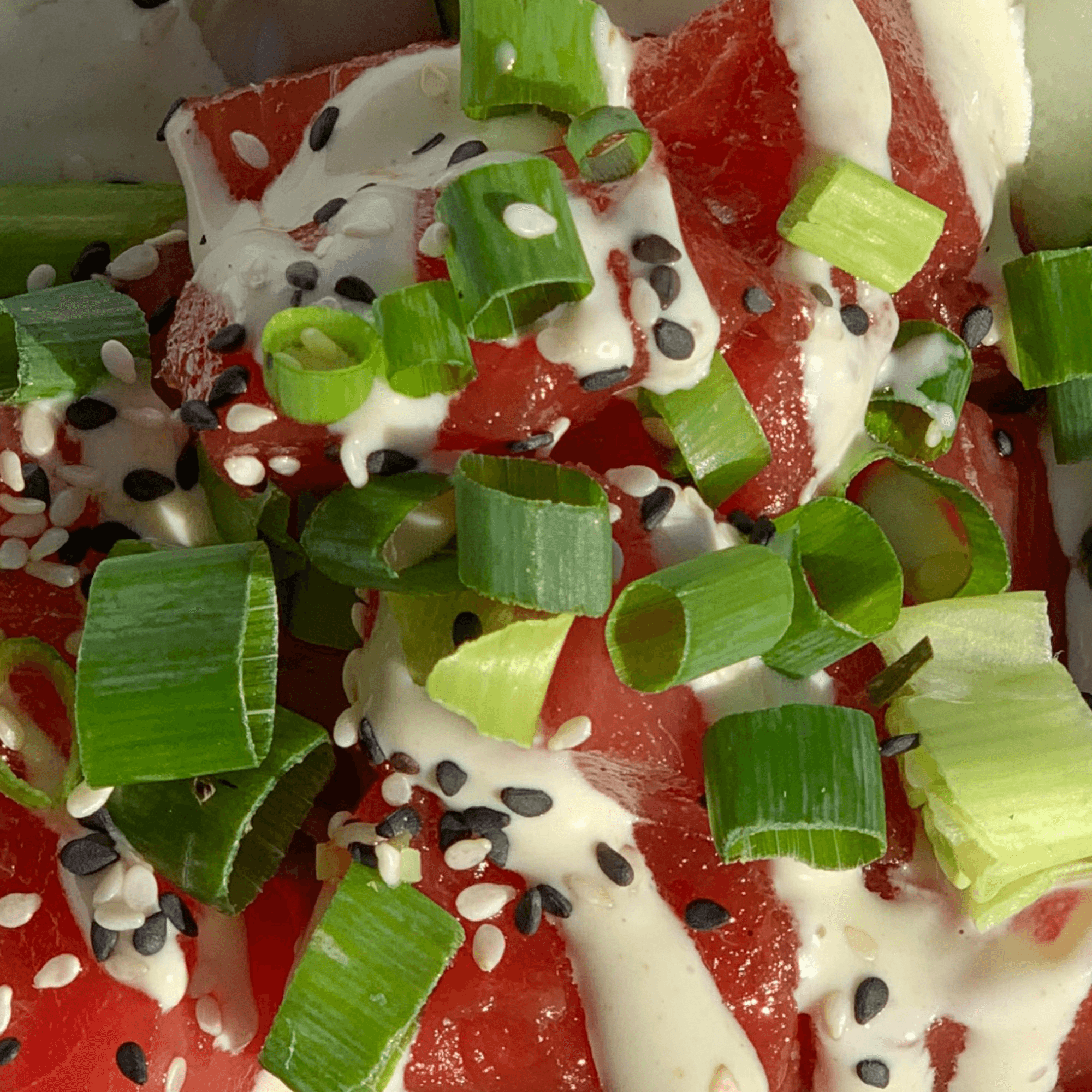 The Cabana Bar & Grill gallery image #7