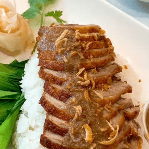 Roasted Duck Over Rice.