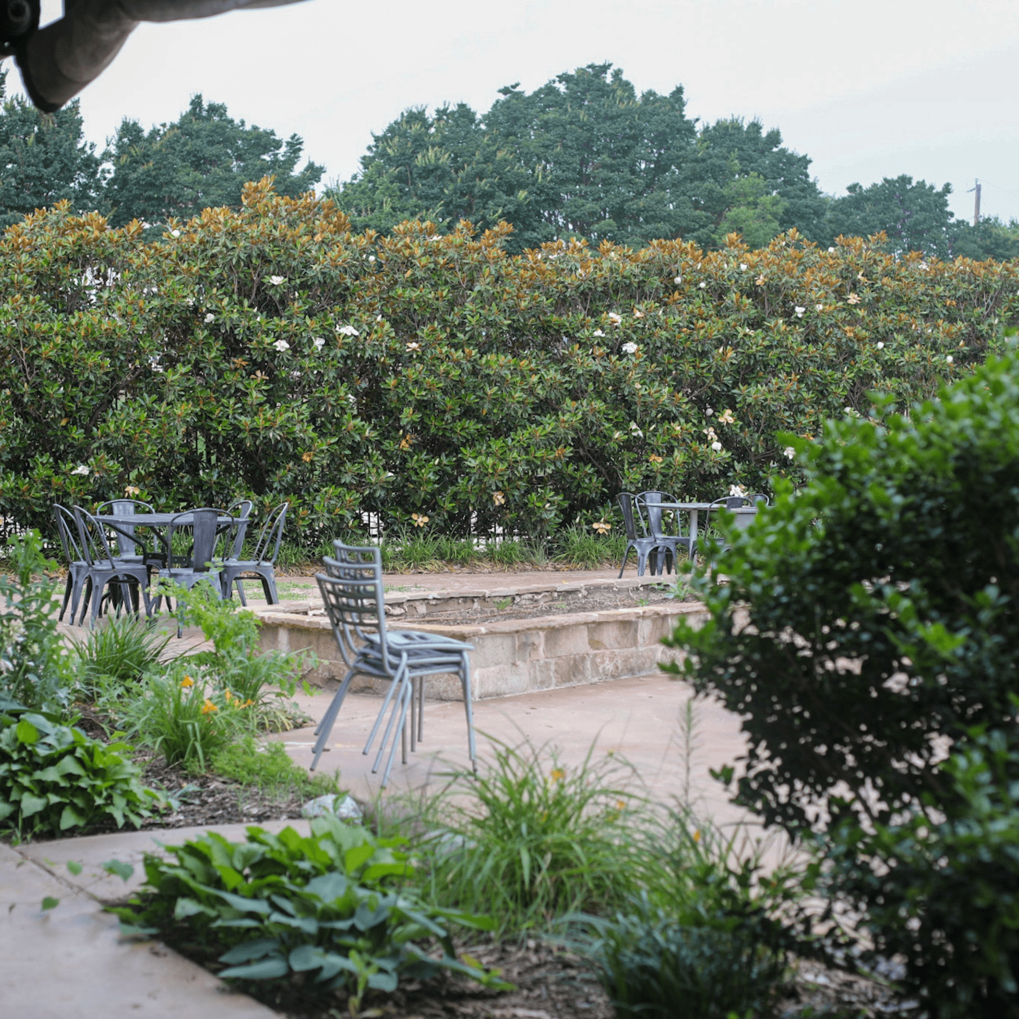 Pizza Buzz gallery image #8