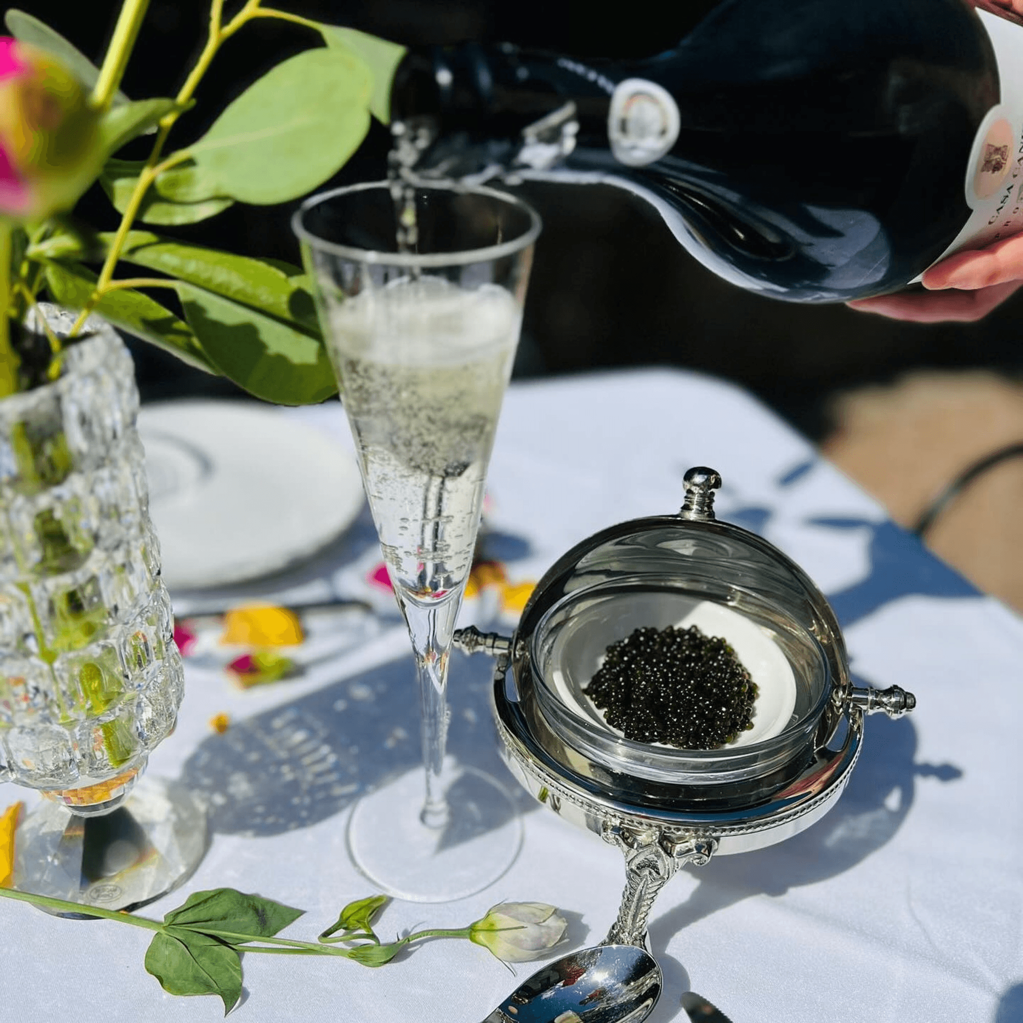 Cafe St. Petersburg gallery image #1