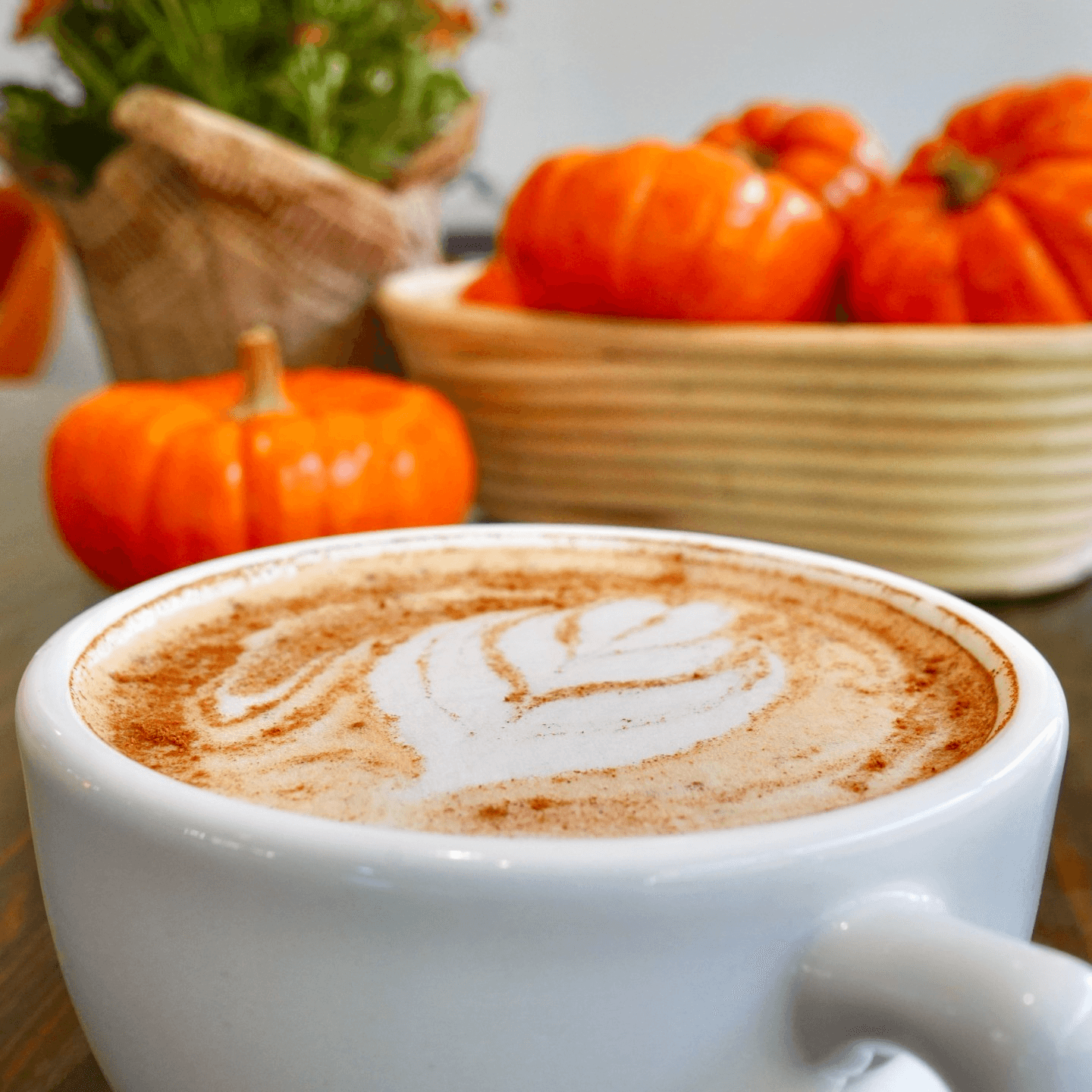 What's New at iJava Cafe?