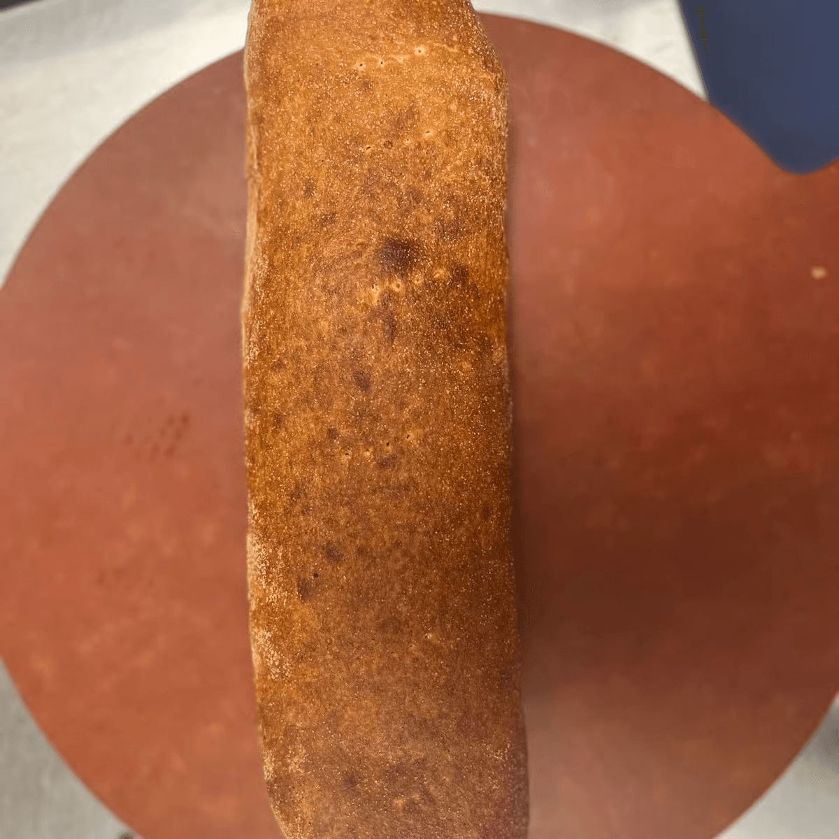 Honey BBQ Chicken Calzone.