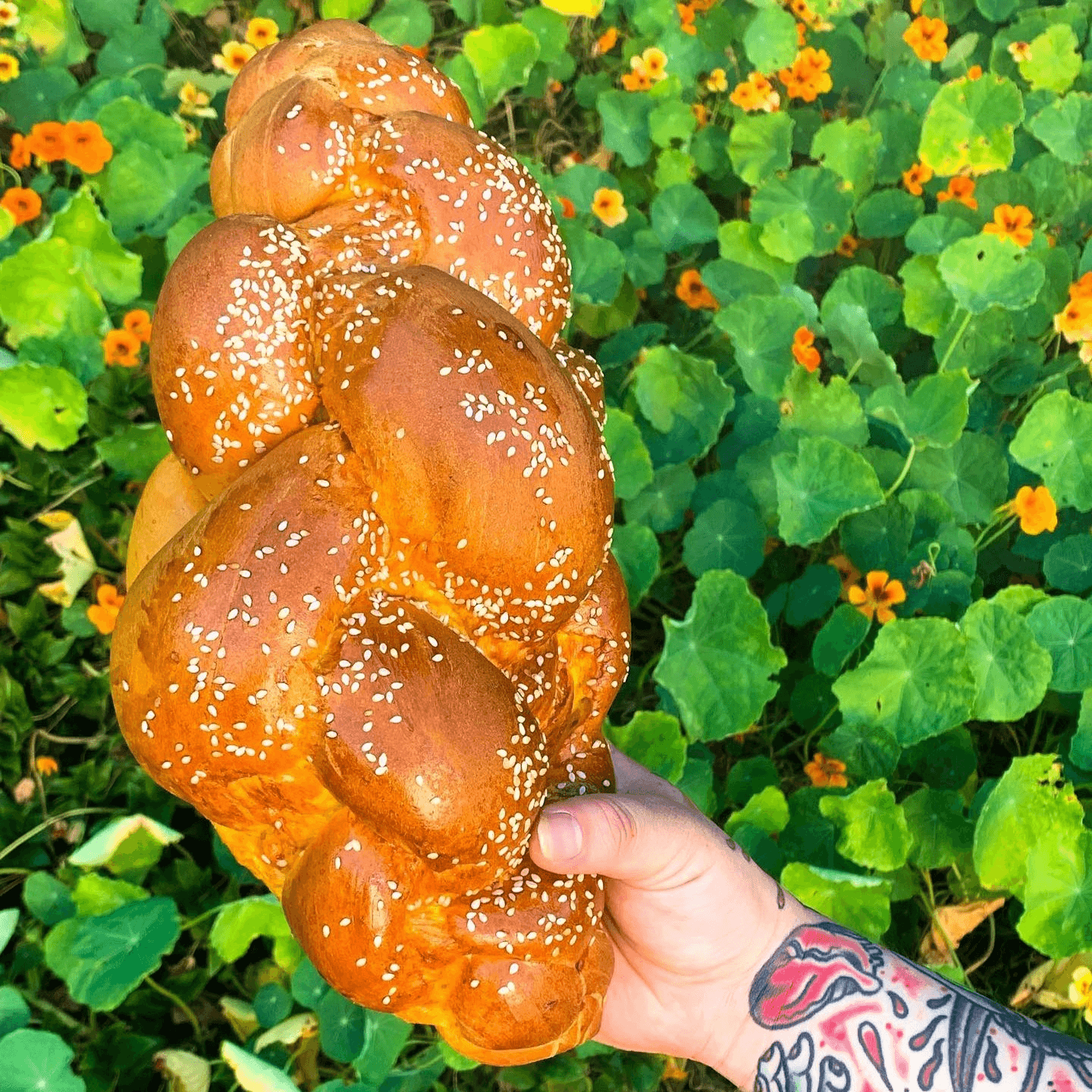 More Than Just Bagels