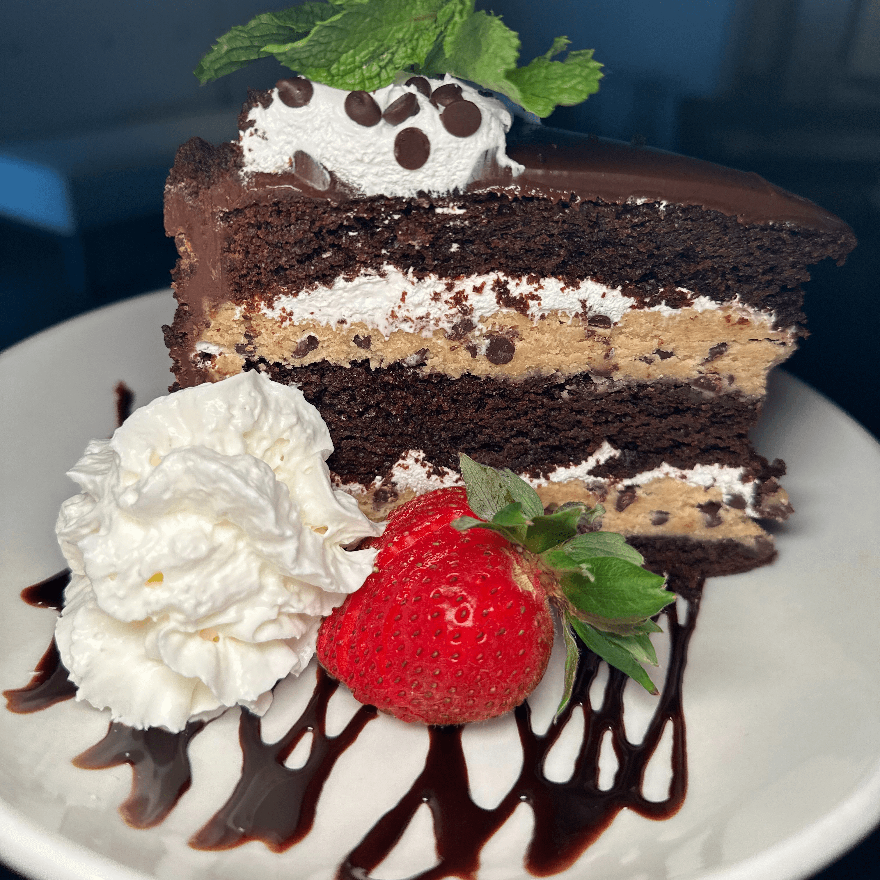 Marshmallow Chocolate Chip Cake.