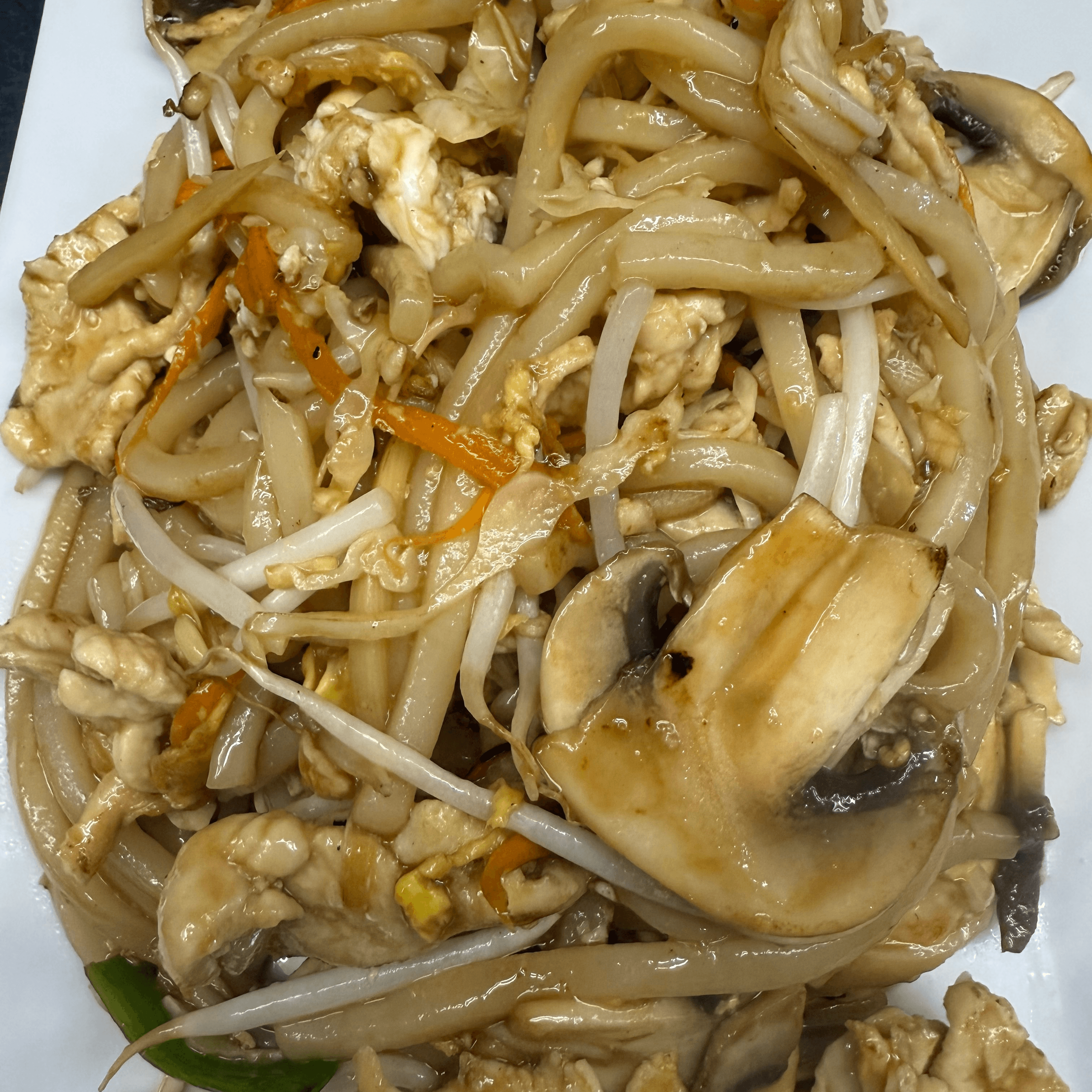 Udon Noodles Stir fly.