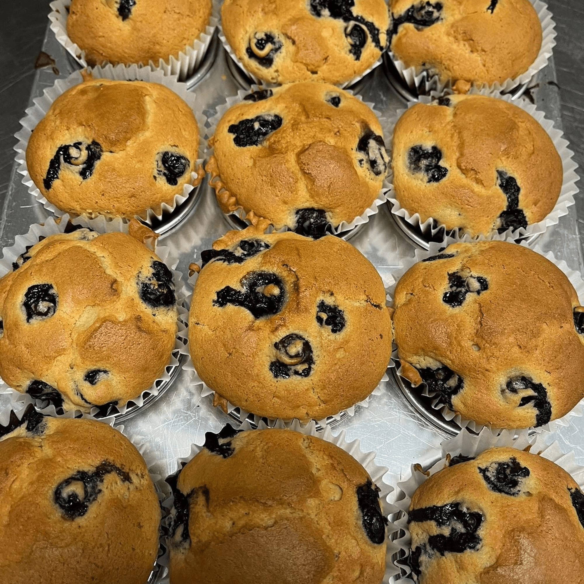 Brami's Kosher Pizza gallery image #6