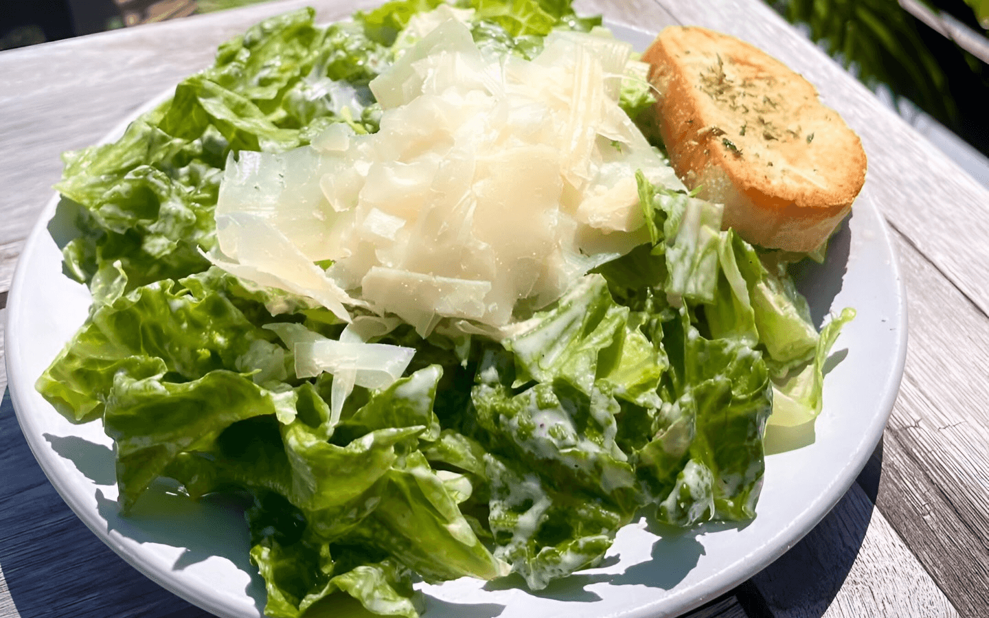 Coastal Pizza Kitchen Rewards