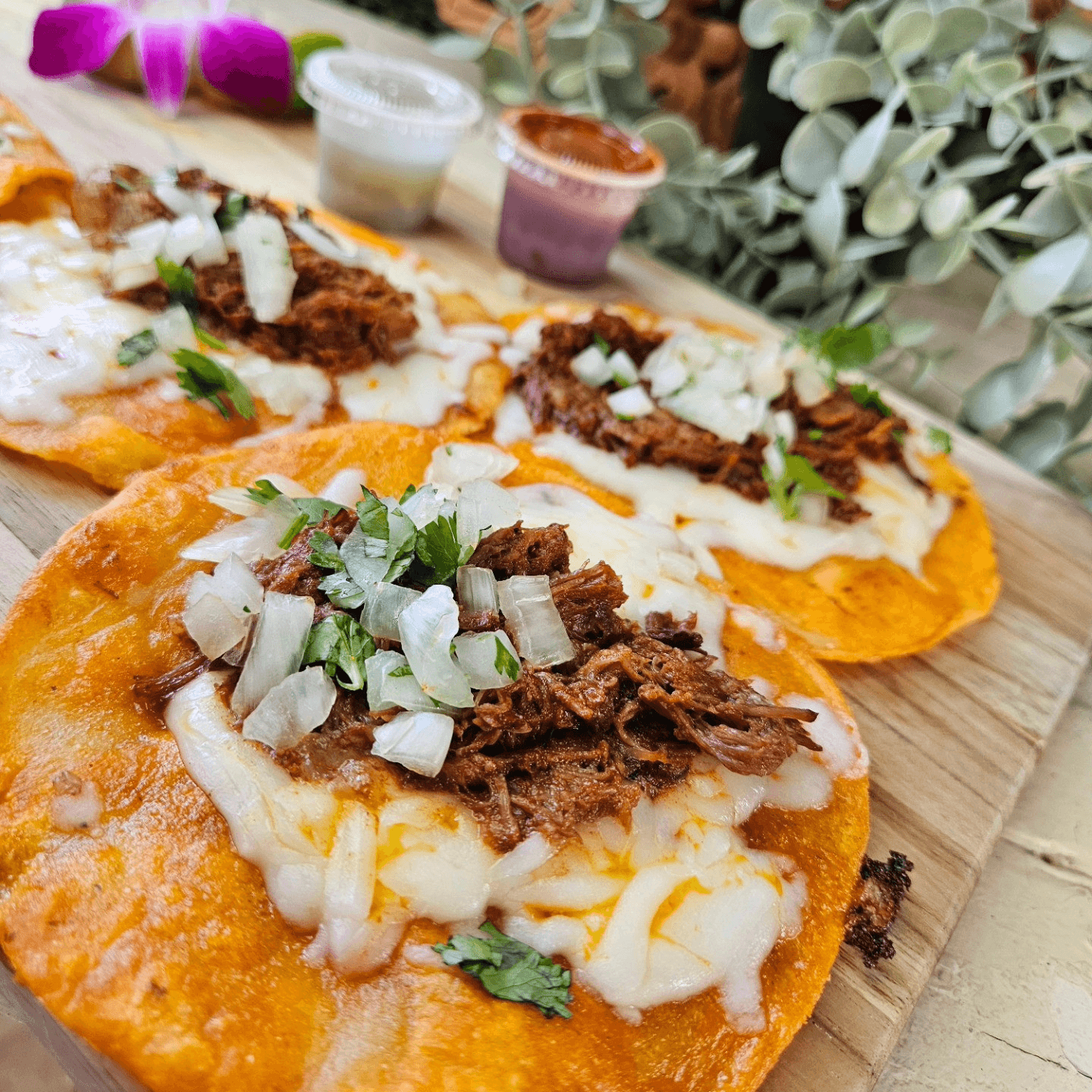 Make Your Tampa Event Unforgettable