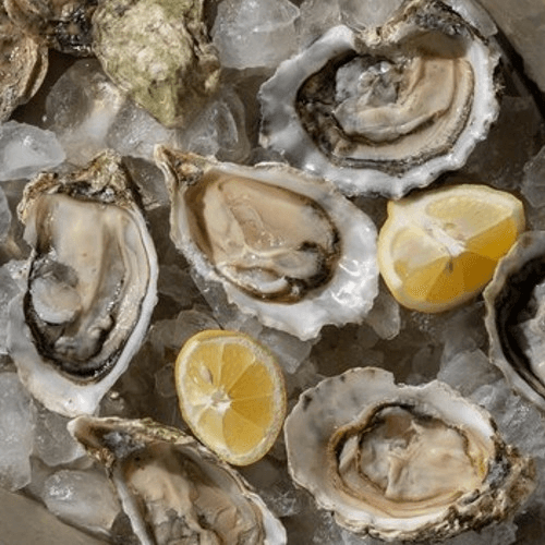 Weekly Cold Water Oysters (Dozen)