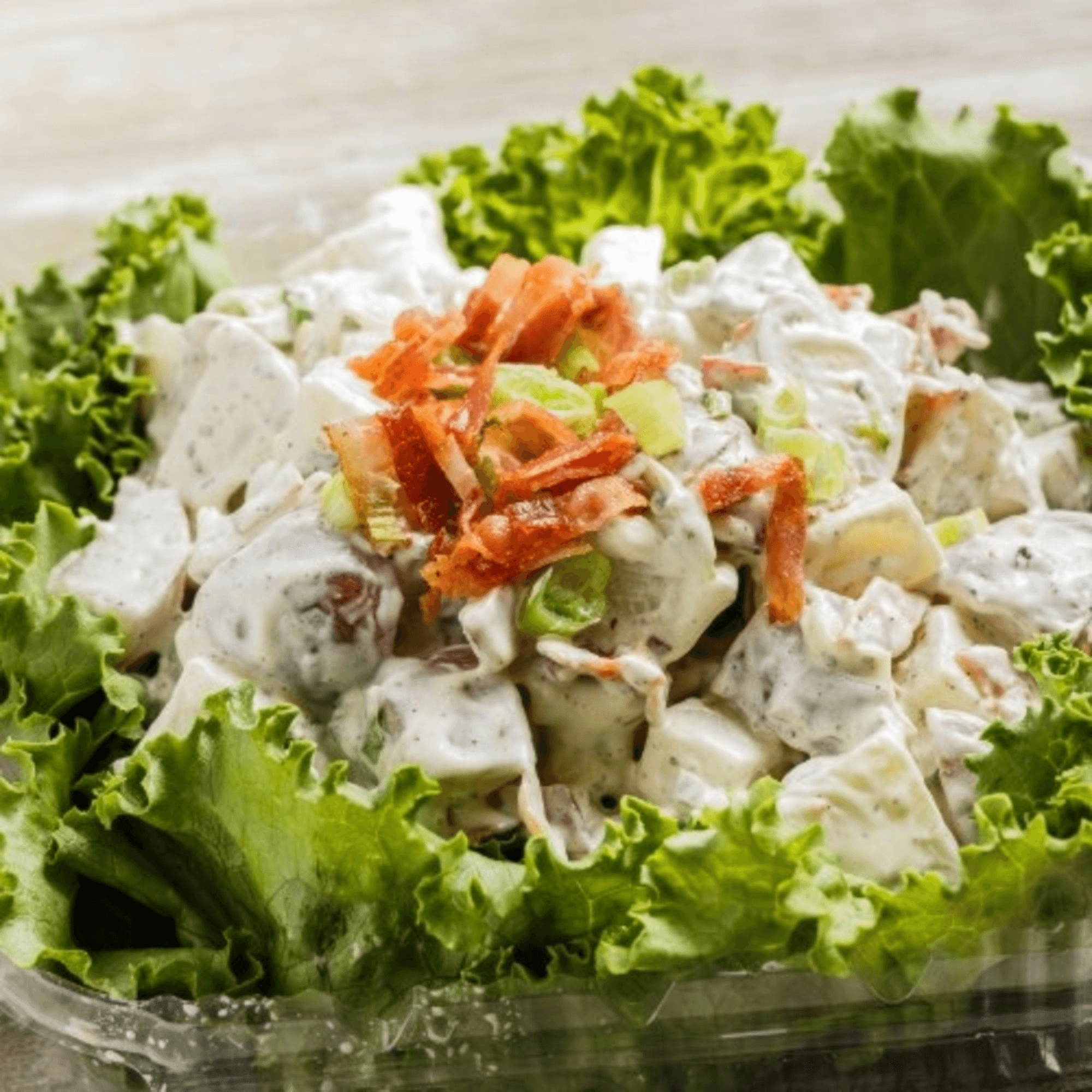 Roly Poly gallery image #7