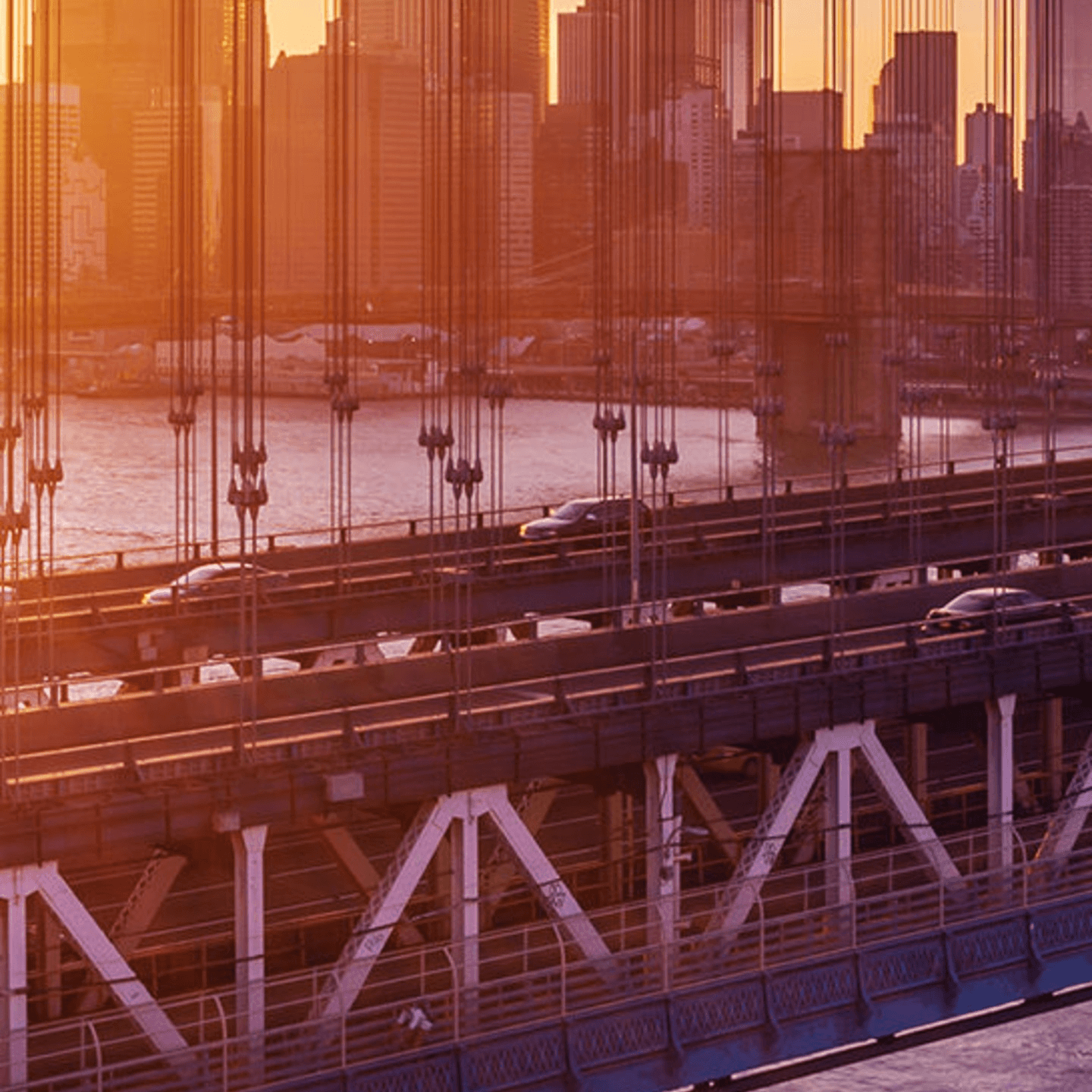 Why Visit New York Pizzeria?