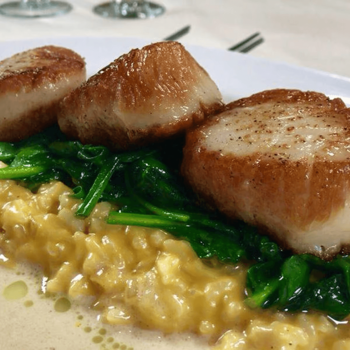 Golden Seared Sea Scallops.