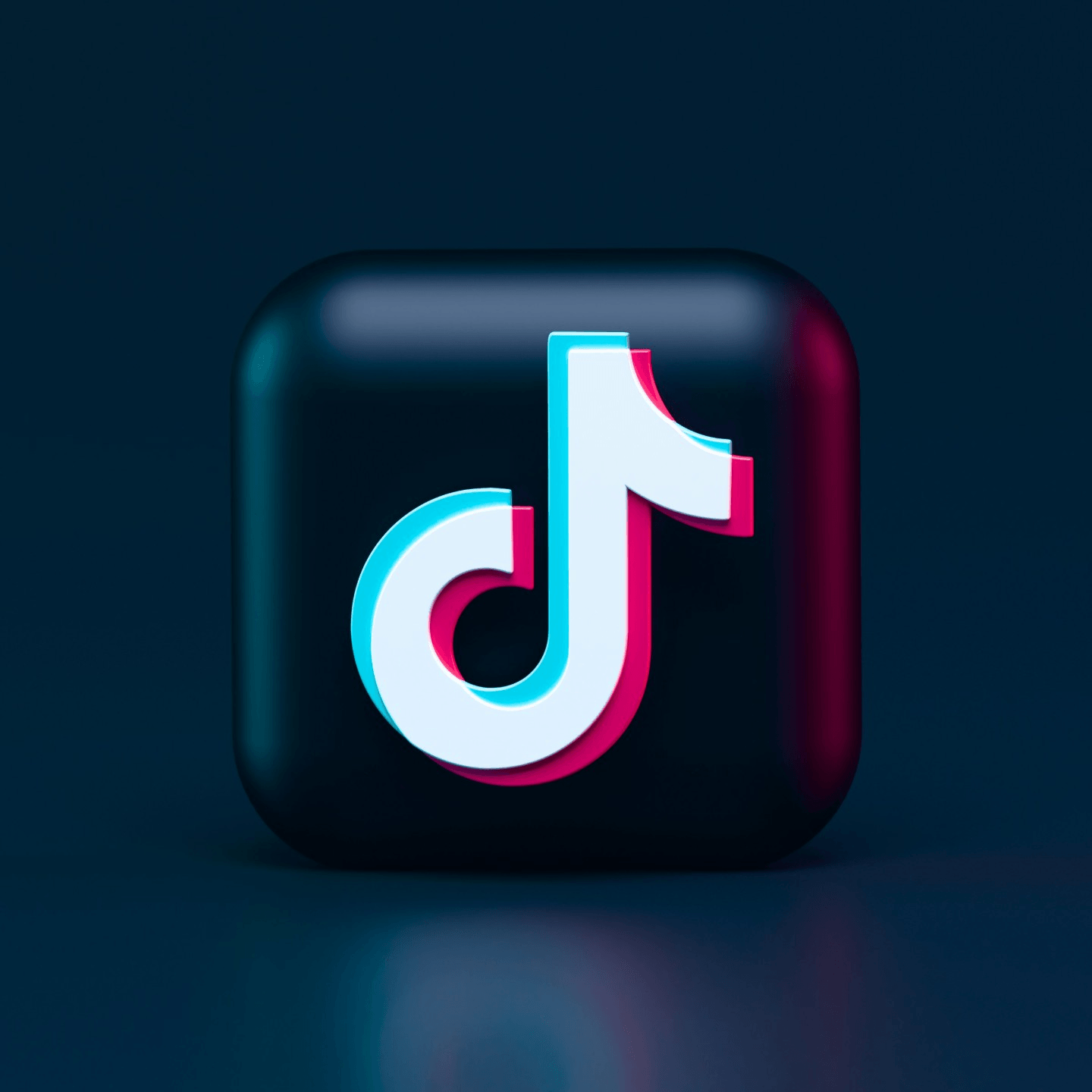 See the Sizzle on TikTok