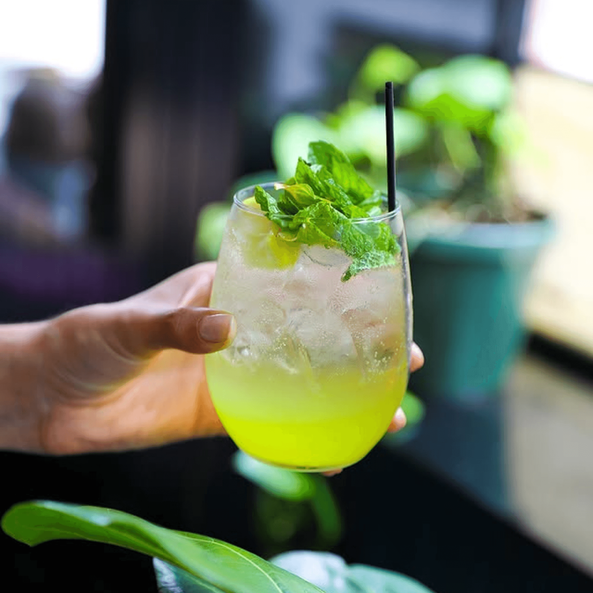 Dar525 gallery image #8