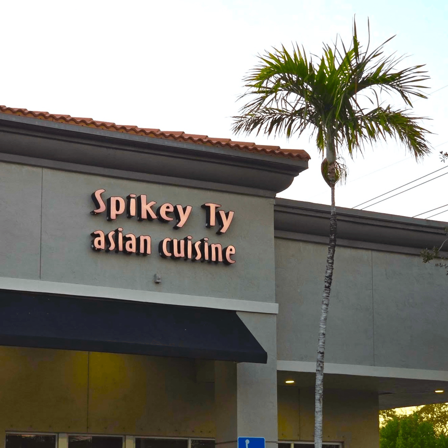 Welcome to Spikey Ty