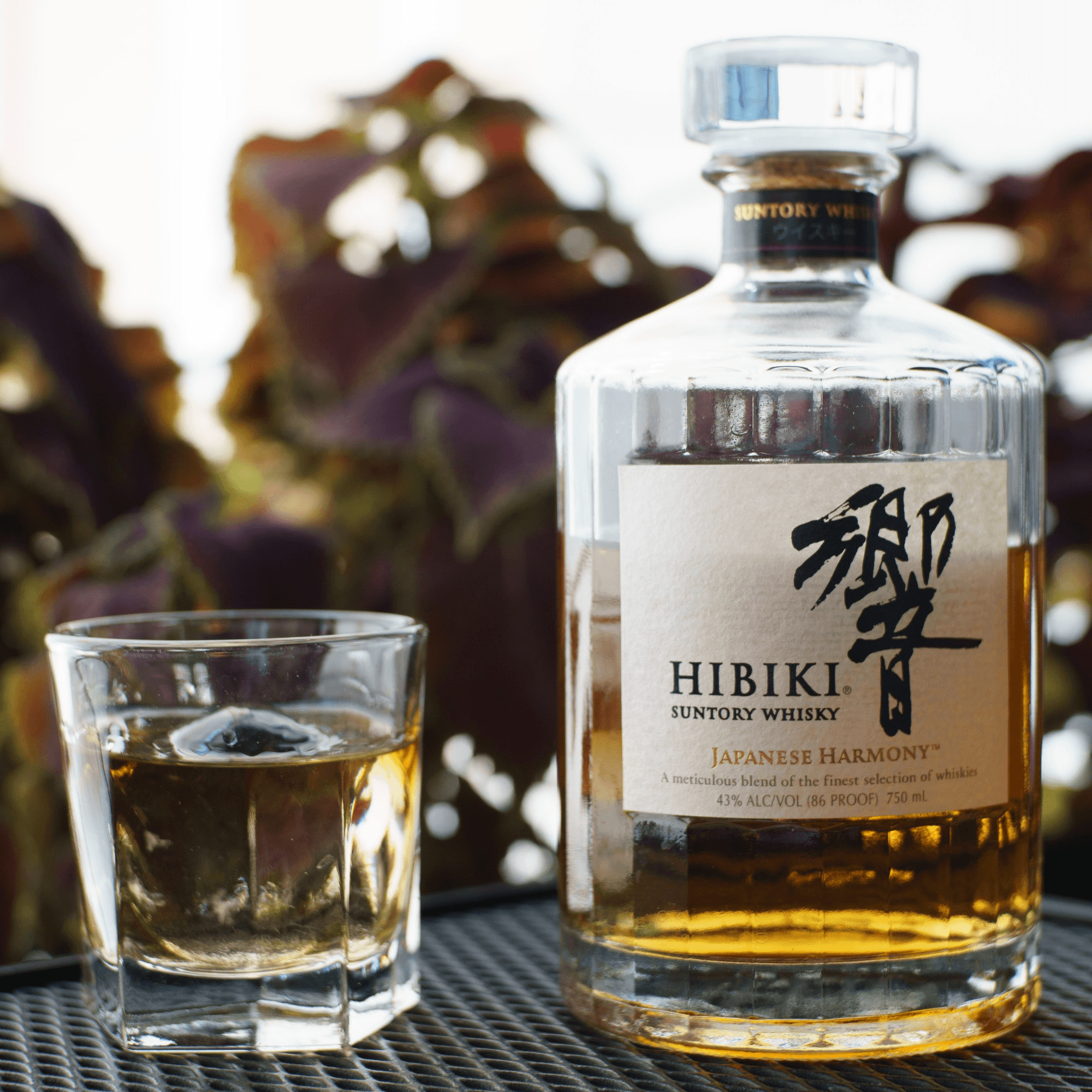 Phở 95 gallery image #6