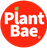 Plant Bae