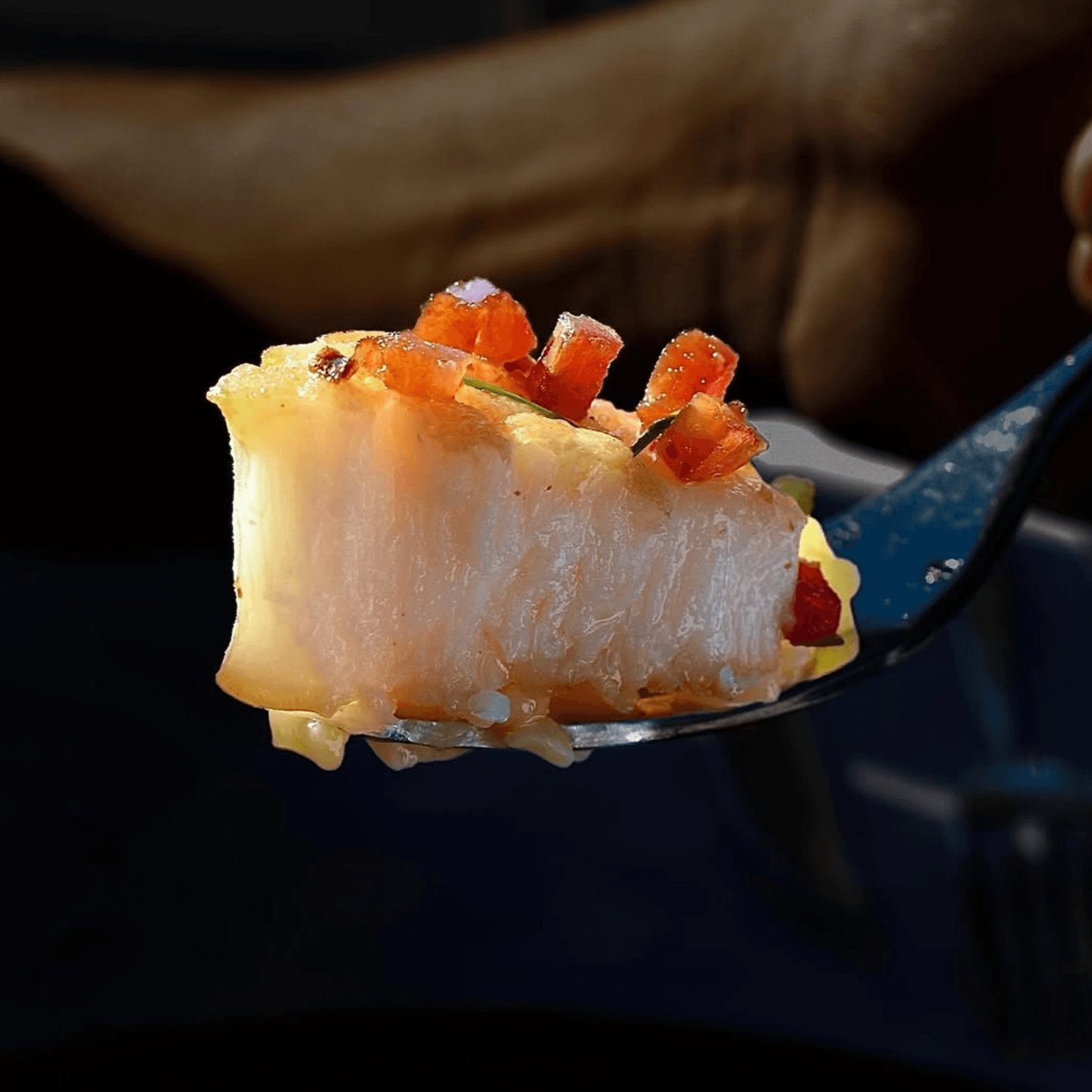 Scallops Elevated: A Taste of Elegance