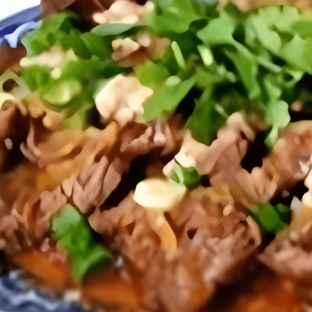 Braised Beef Shank 滷牛键.