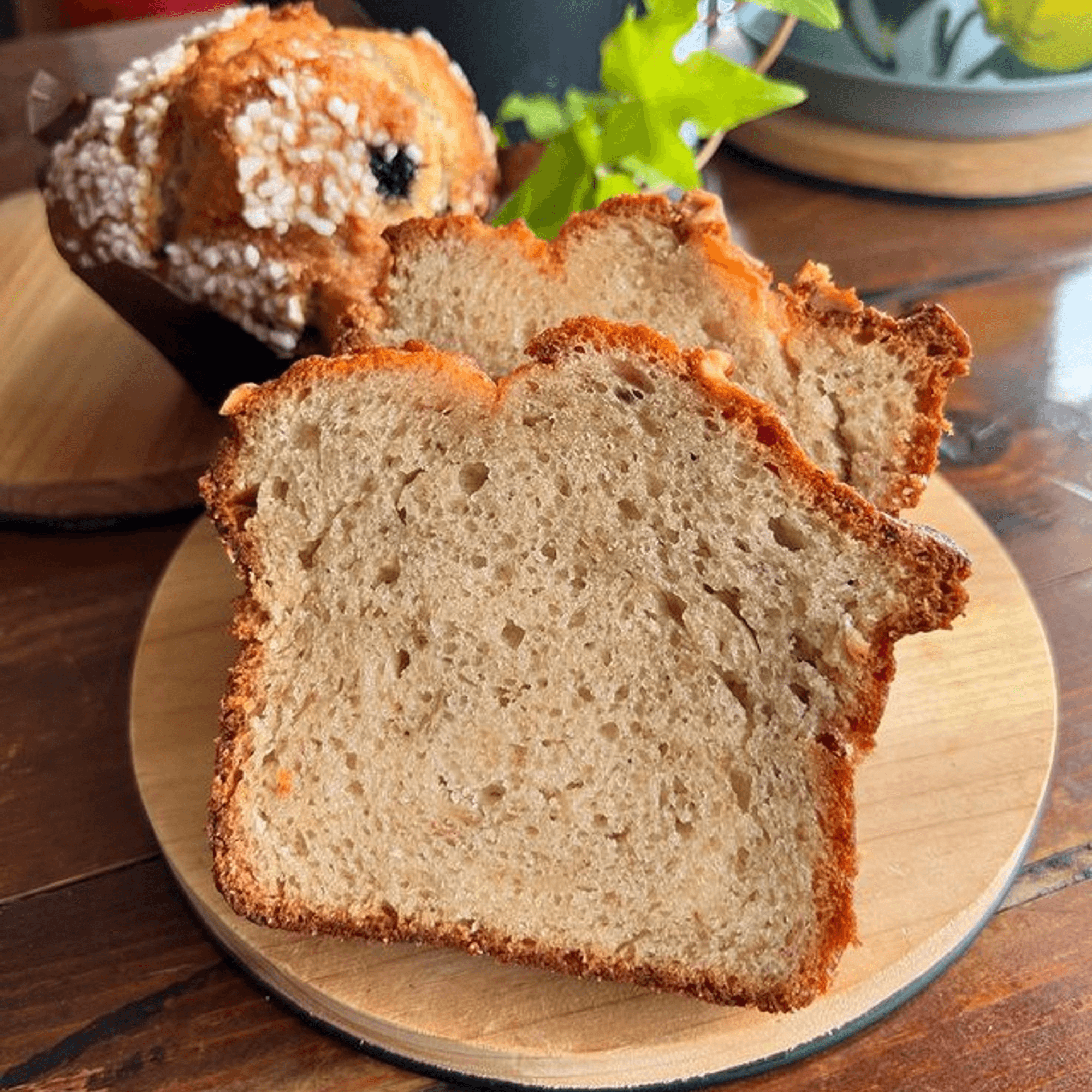 KOHI Coffee and Pastries gallery image #8