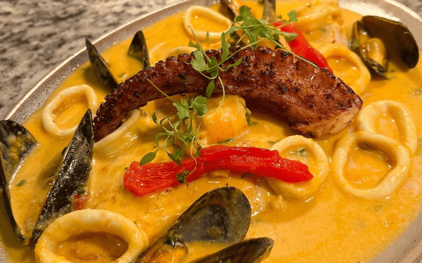 Pisco Latin Kitchen Rewards