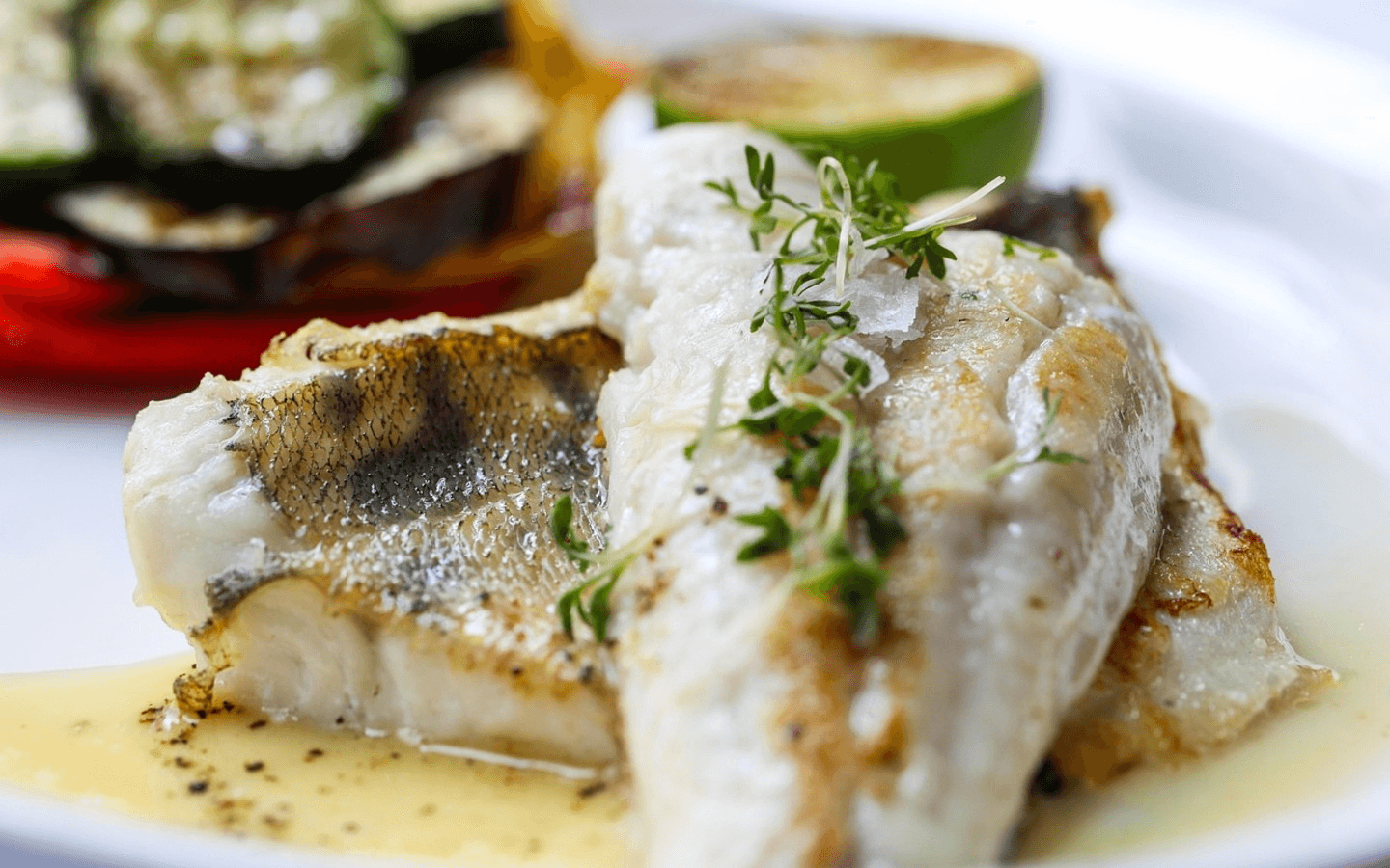 The Fish Grill Rewards