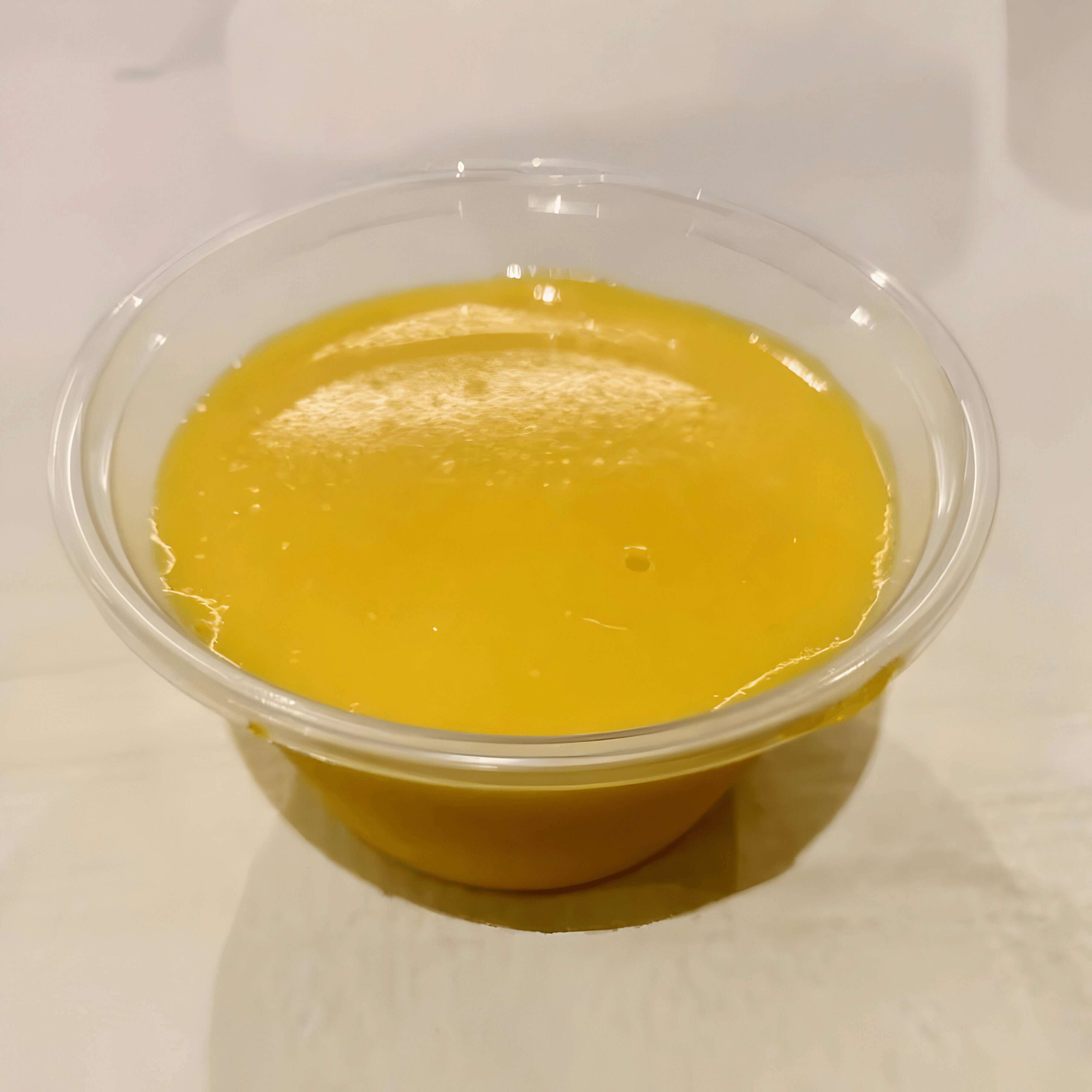 Mango Pudding / 香芒凍布丁.