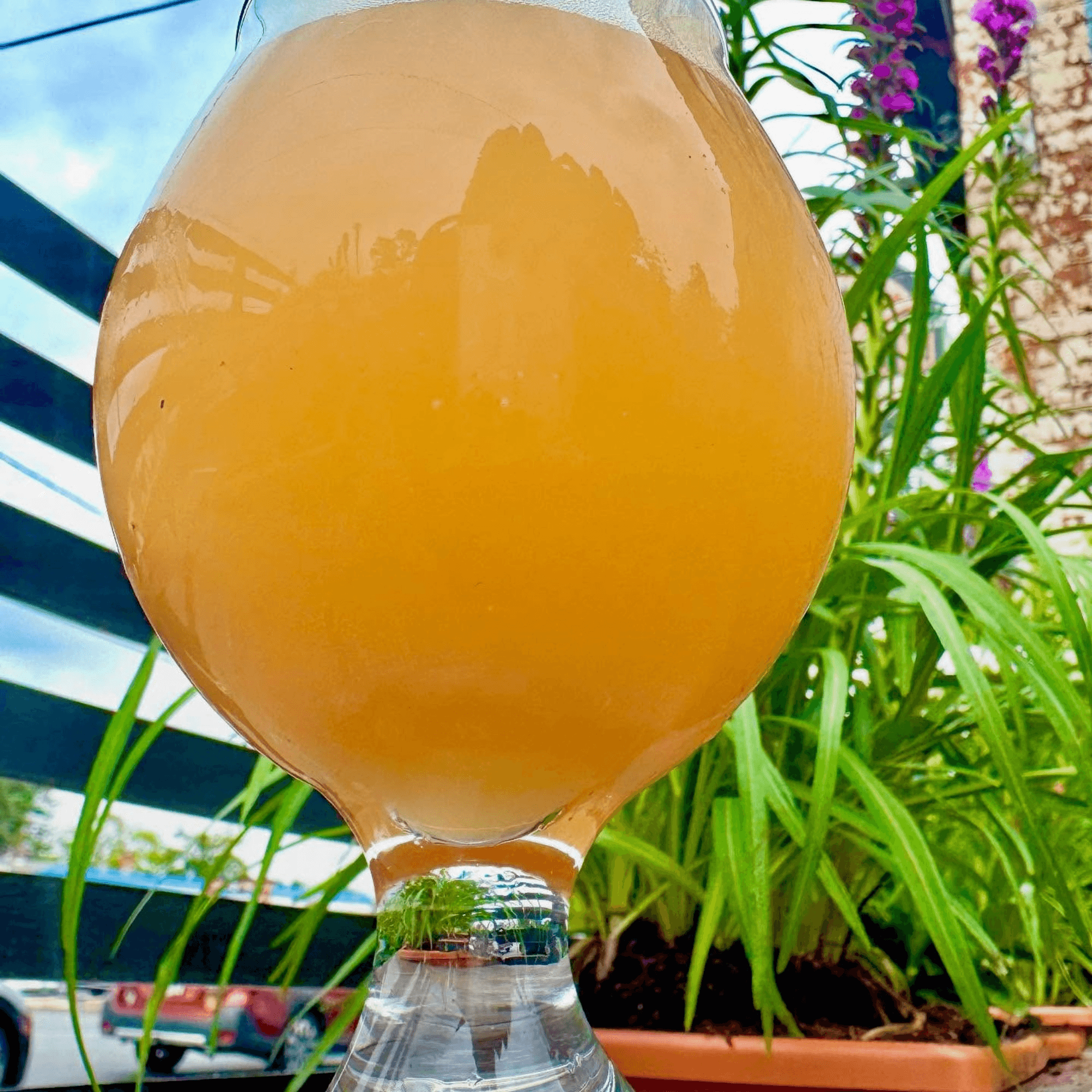 Underground Coffee & Ales - Highland gallery image #5