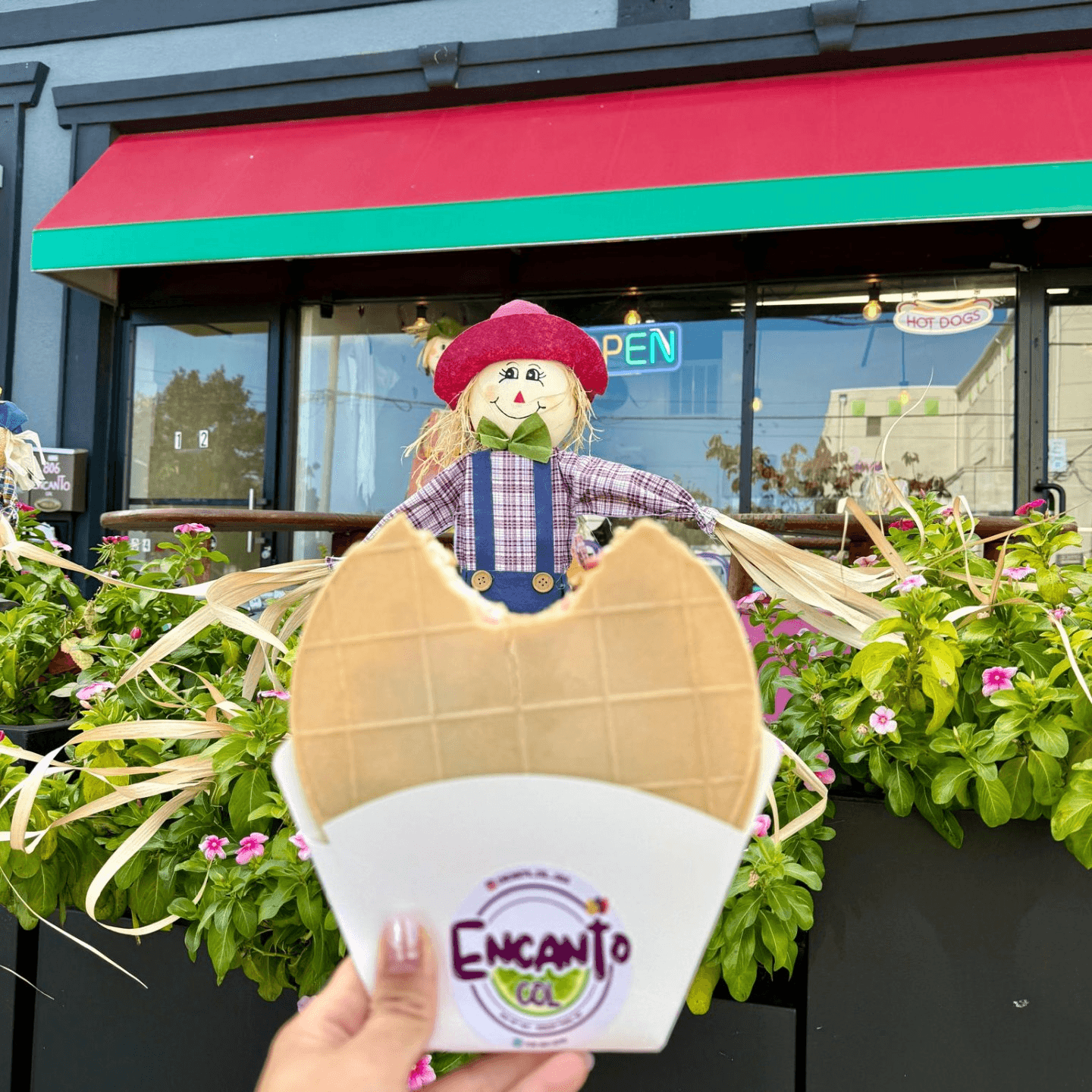 Our Mission and Promise