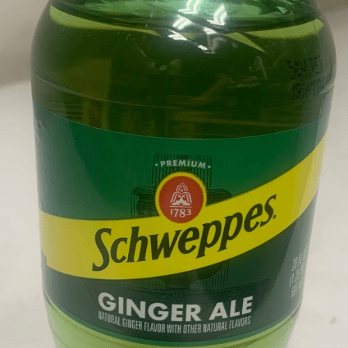 Ginger Ale 20oz